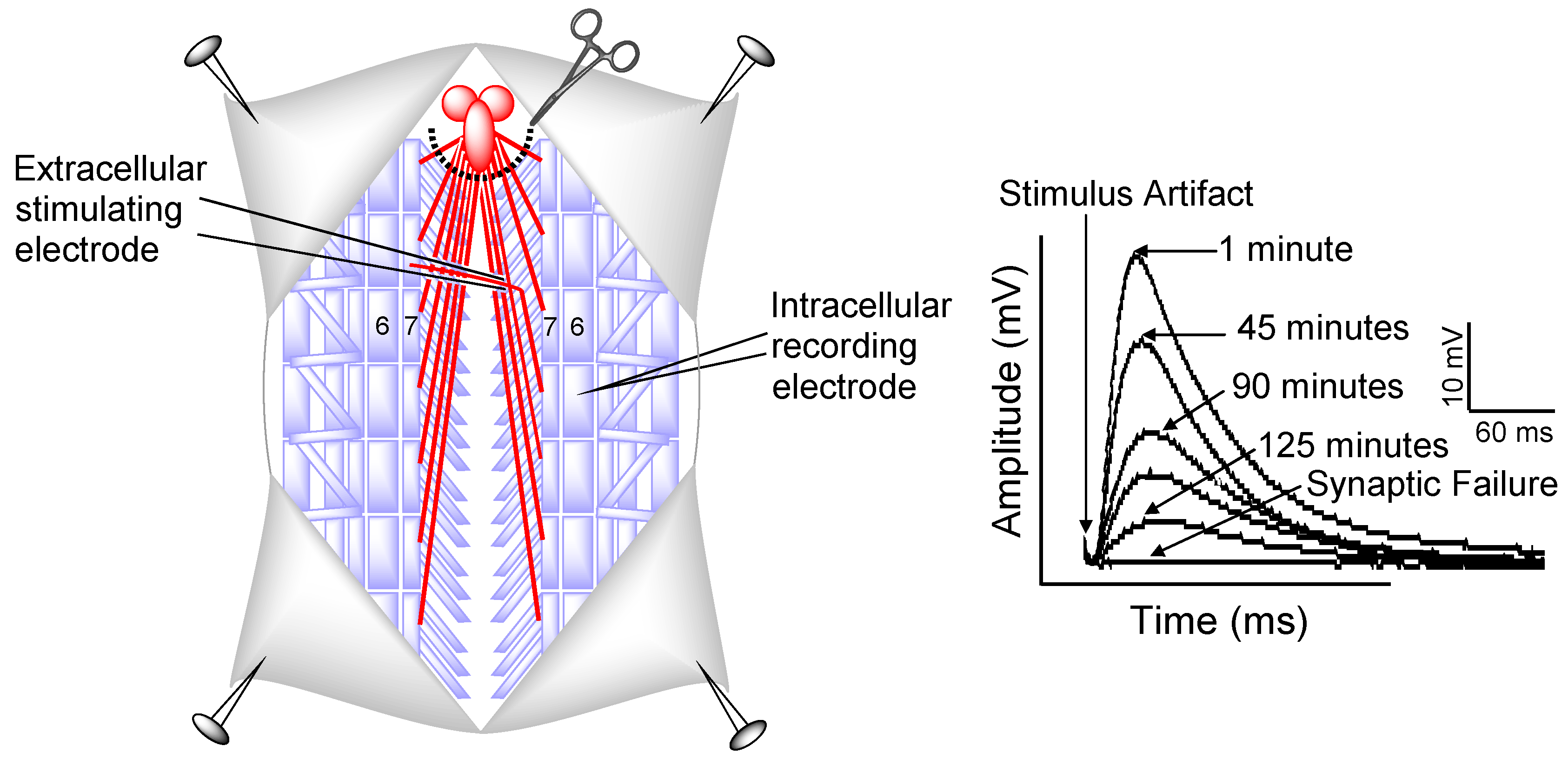 Marinedrugs 14 00055 g002