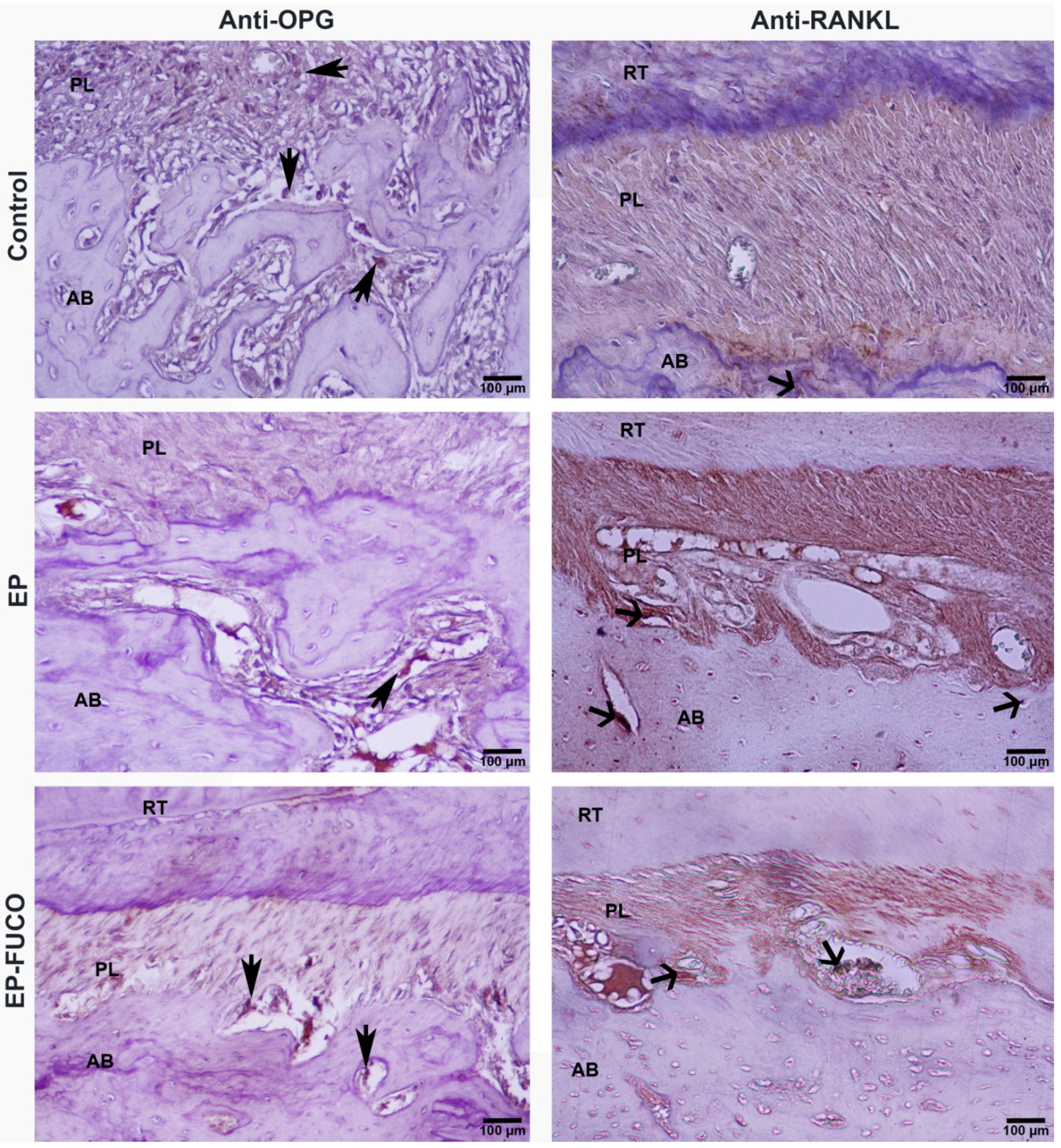 Marinedrugs 14 00070 g001