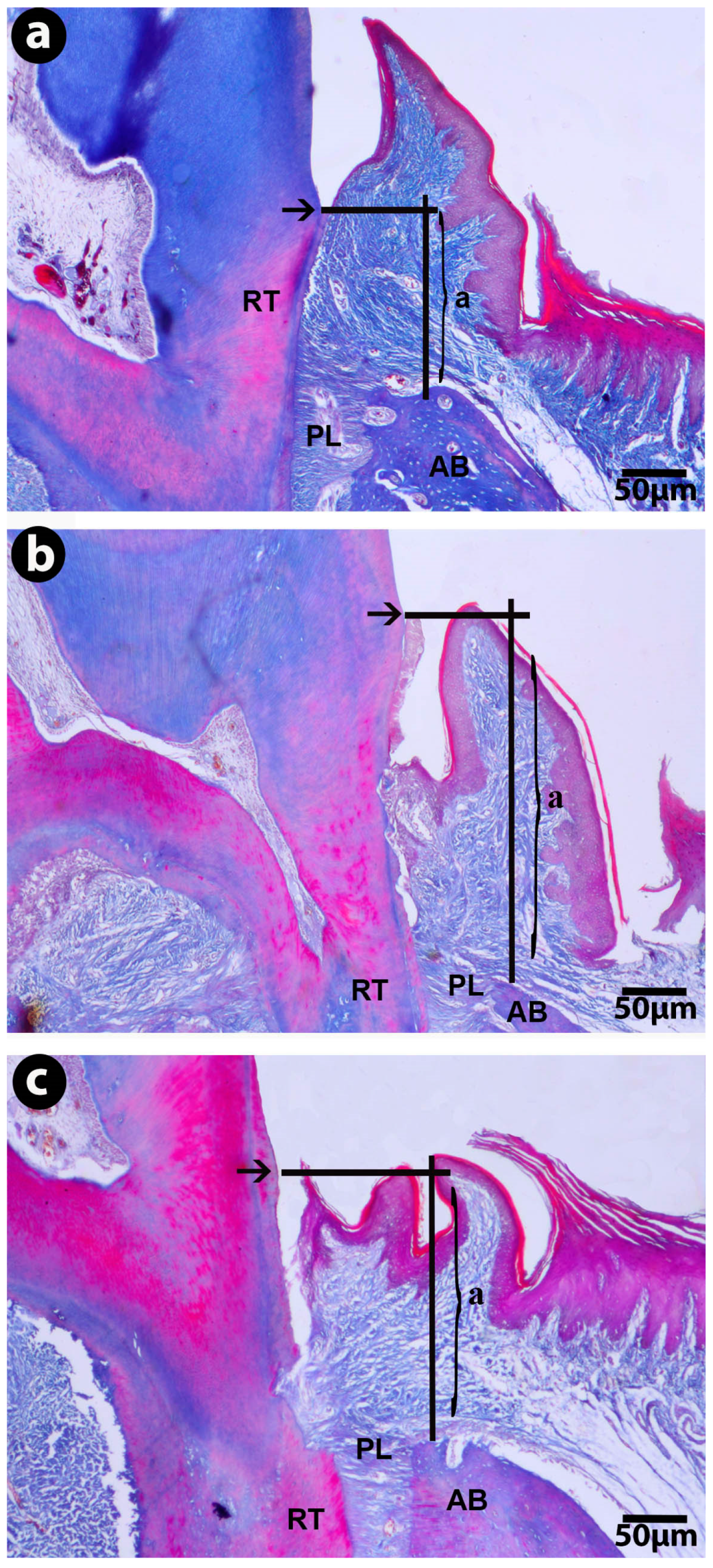 Marinedrugs 14 00070 g002