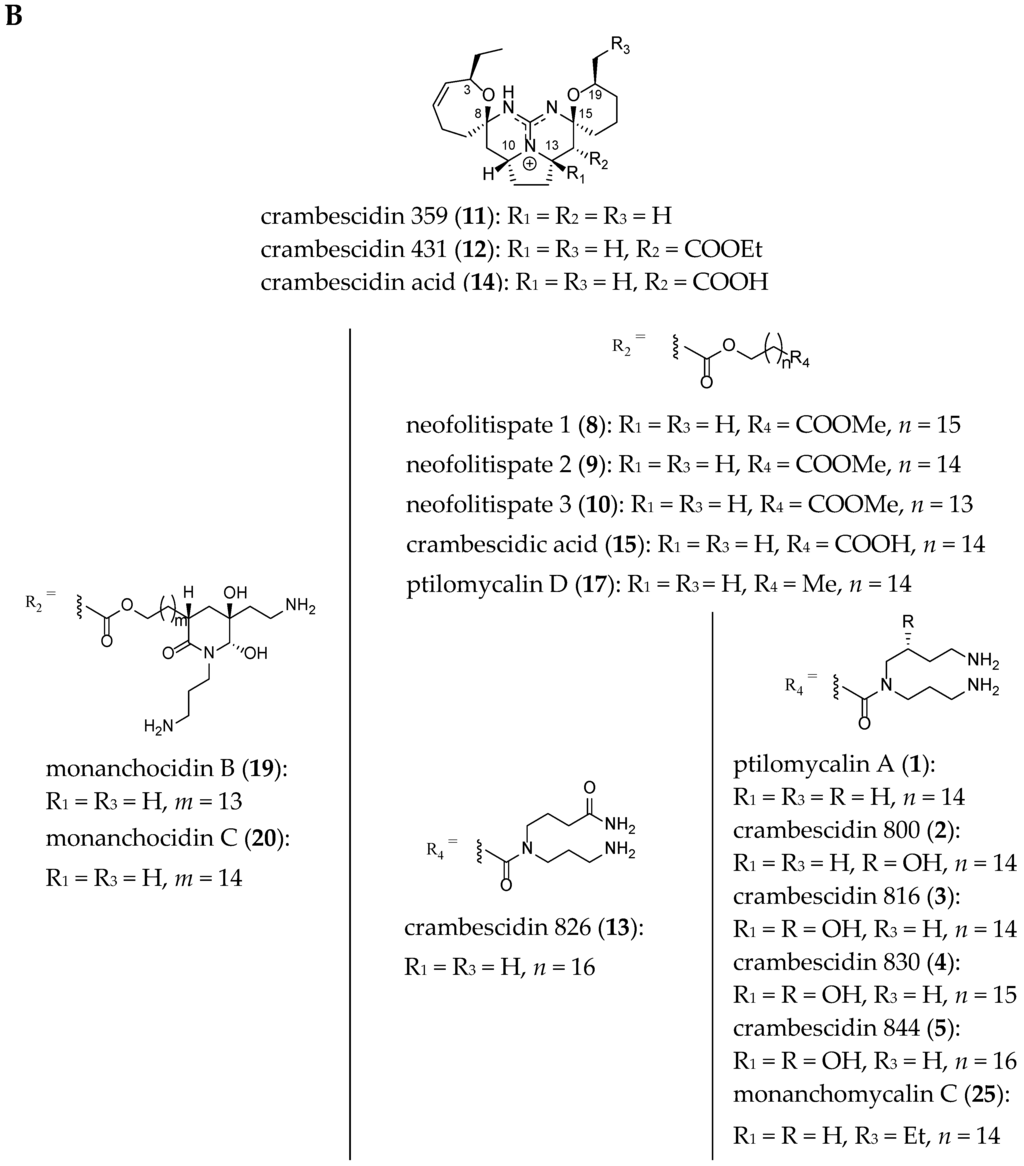 Narine Forte: reviews, instructions for use, analogues 5 Narine Forte: reviews, instructions for use, analogues 11