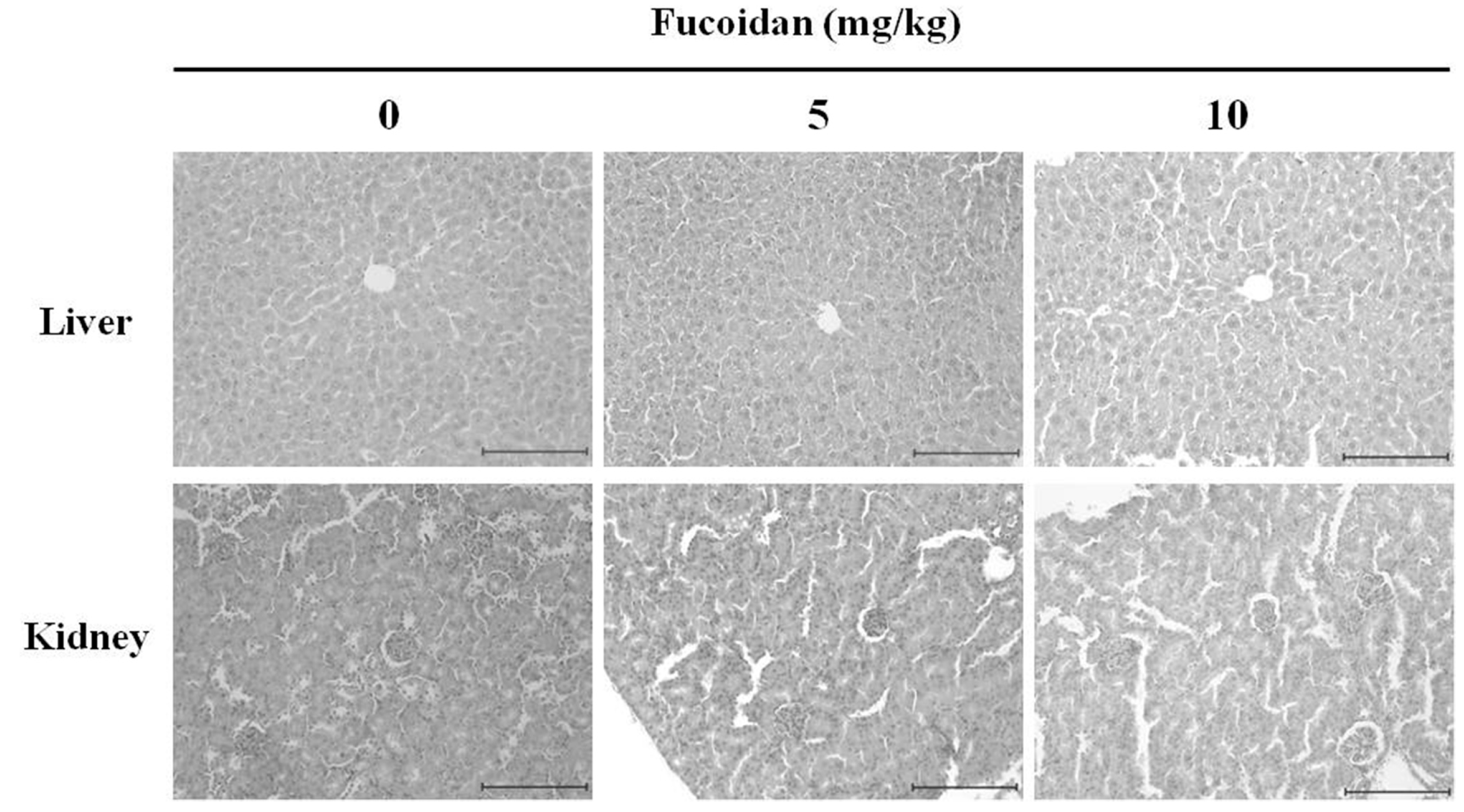 Marinedrugs 14 00126 g008