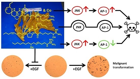 Marine Drugs Free Full Text Guanidine Alkaloids From The Marine Sponge Monanchora Pulchra Show Cytotoxic Properties And Prevent Egf Induced Neoplastic Transformation In Vitro Html Marine Drugs Free Full Text Guanidine Alkaloids From The Marine Sponge Monanchora Pulchra Show Cytotoxic Properties And Prevent Egf Induced Neoplastic Transformation In Vitro Html