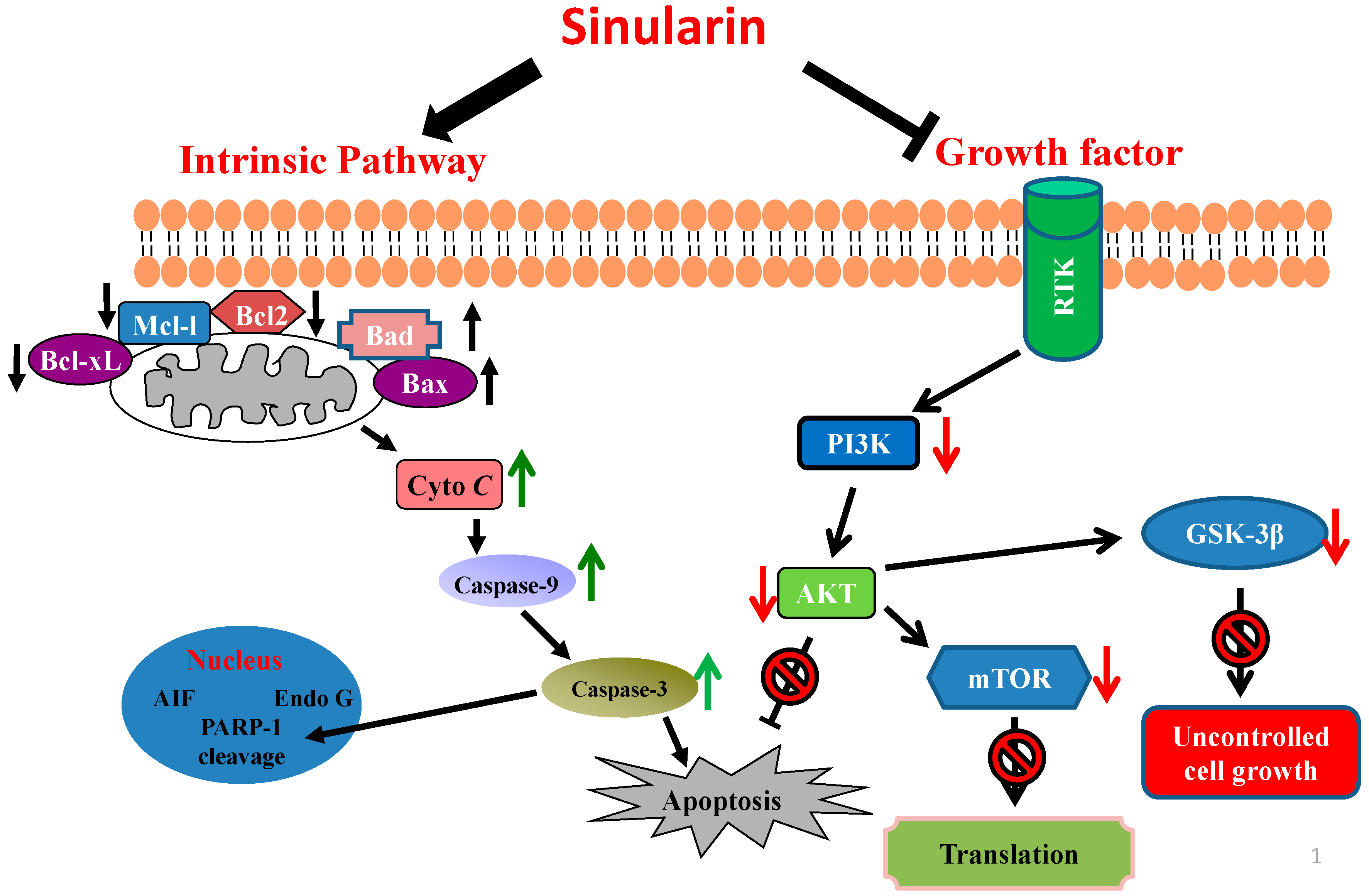 Marinedrugs 14 00142 g008