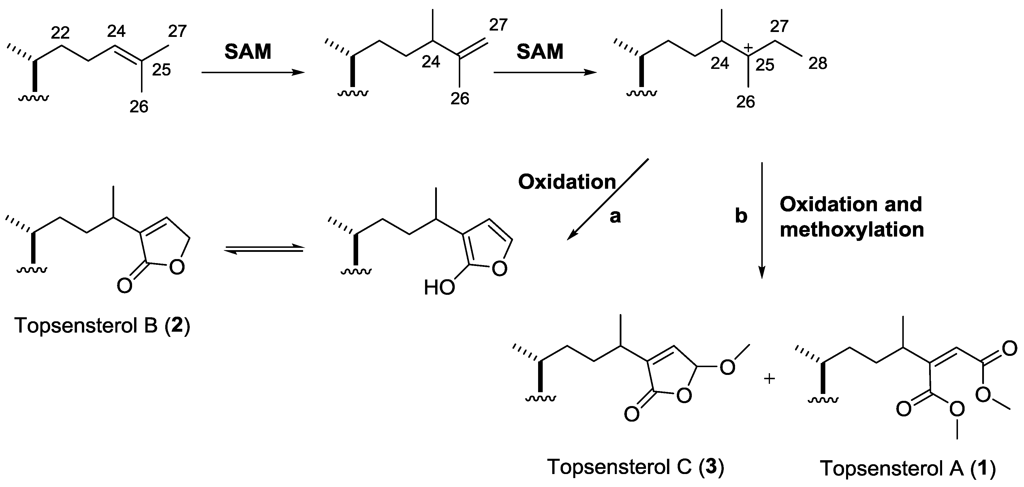 Marinedrugs 14 00146 sch001 1024