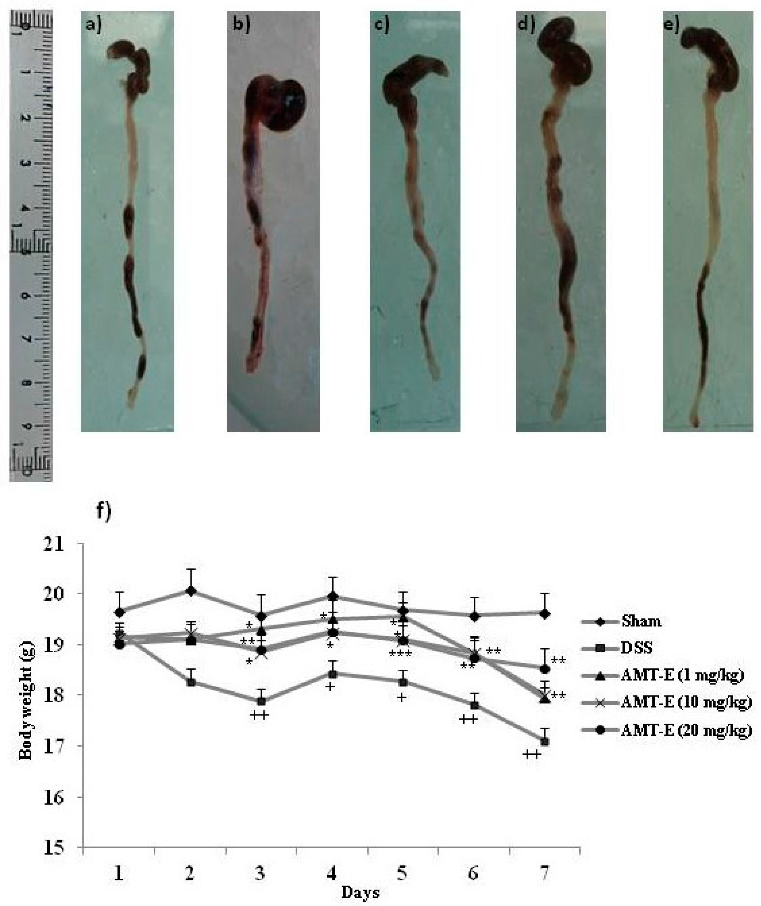 Marine Drugs Free Full Text The Algal Meroterpene 11 Hydroxy 1 O Methylamentadione Ameloriates Dextran Sulfate Sodium Induced Colitis In Mice Html Marine Drugs Free Full Text The Algal Meroterpene 11 Hydroxy 1 O Methylamentadione Ameloriates Dextran Sulfate Sodium Induced Colitis In Mice Html