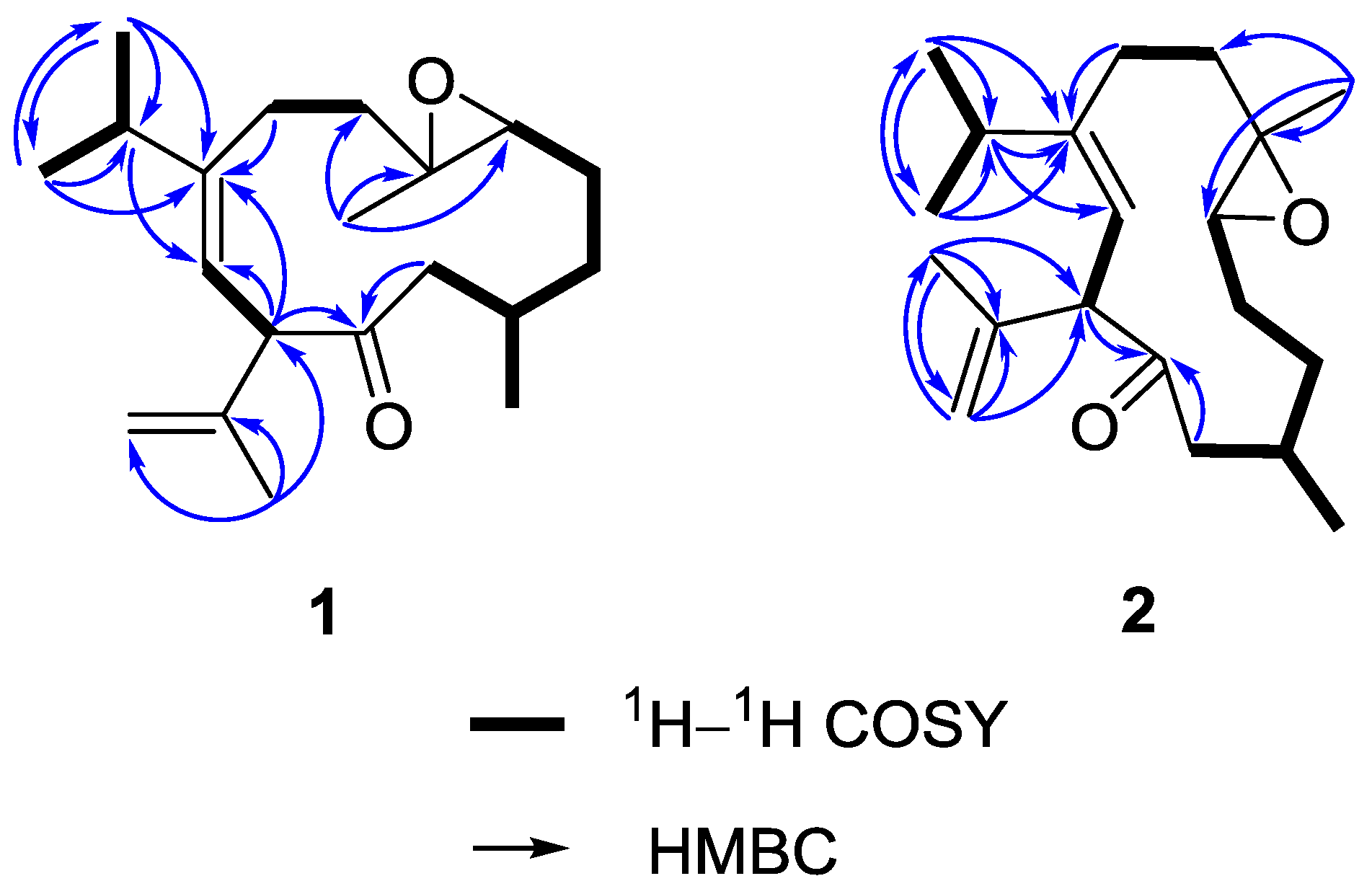 Marinedrugs 14 00150 g003 1024