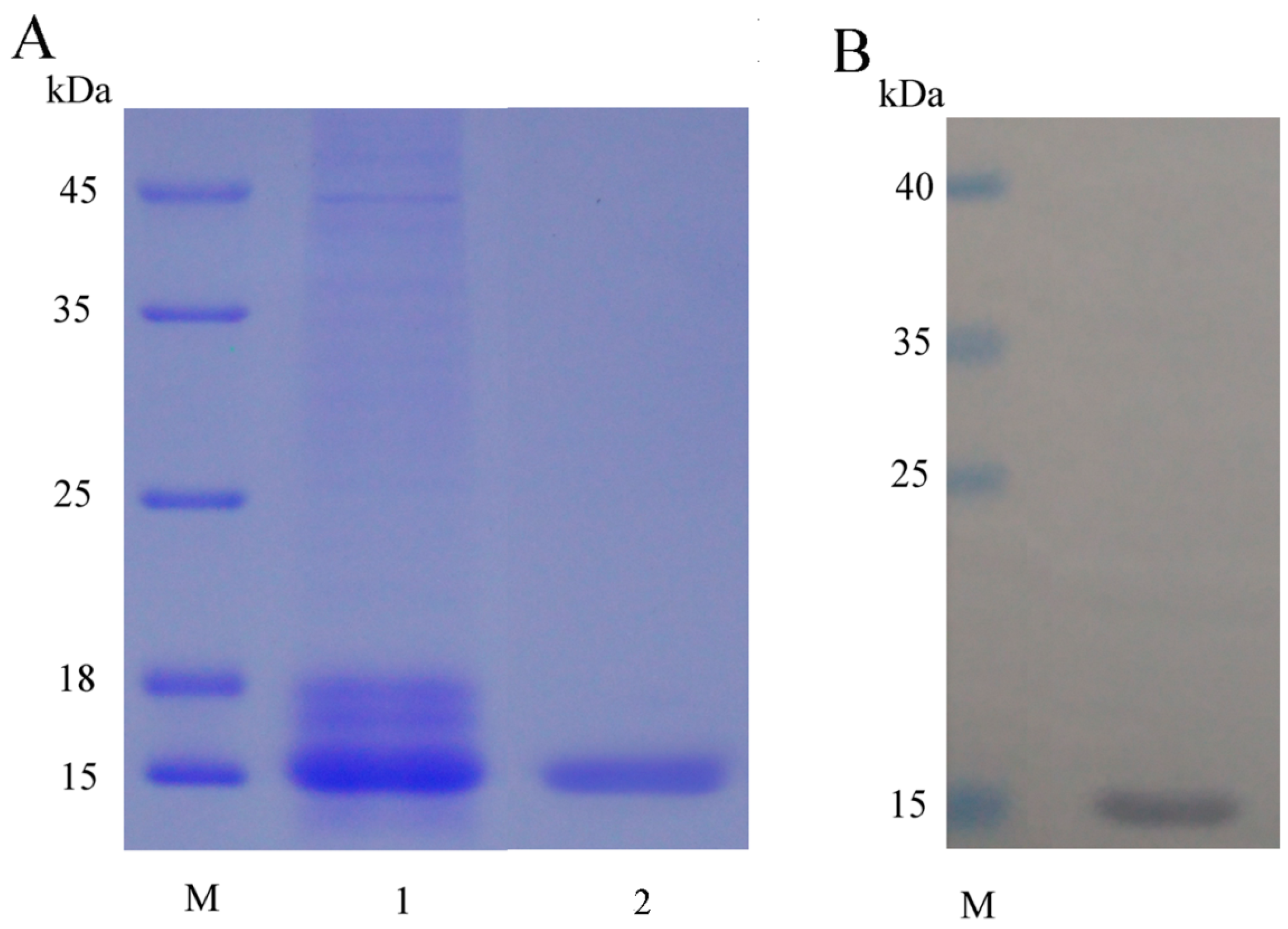 Marinedrugs 14 00152 g002