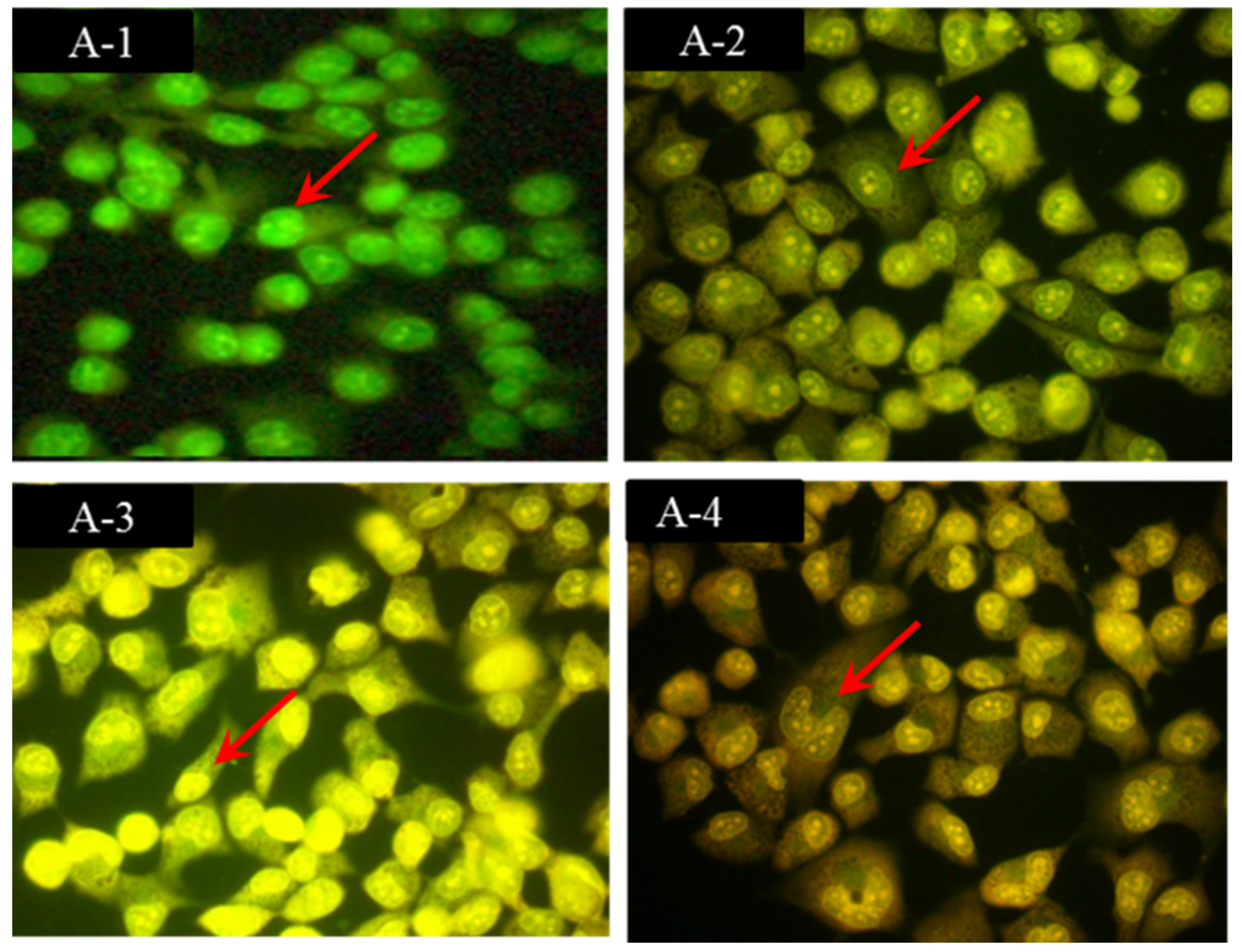 Marinedrugs 14 00153 g002 1024