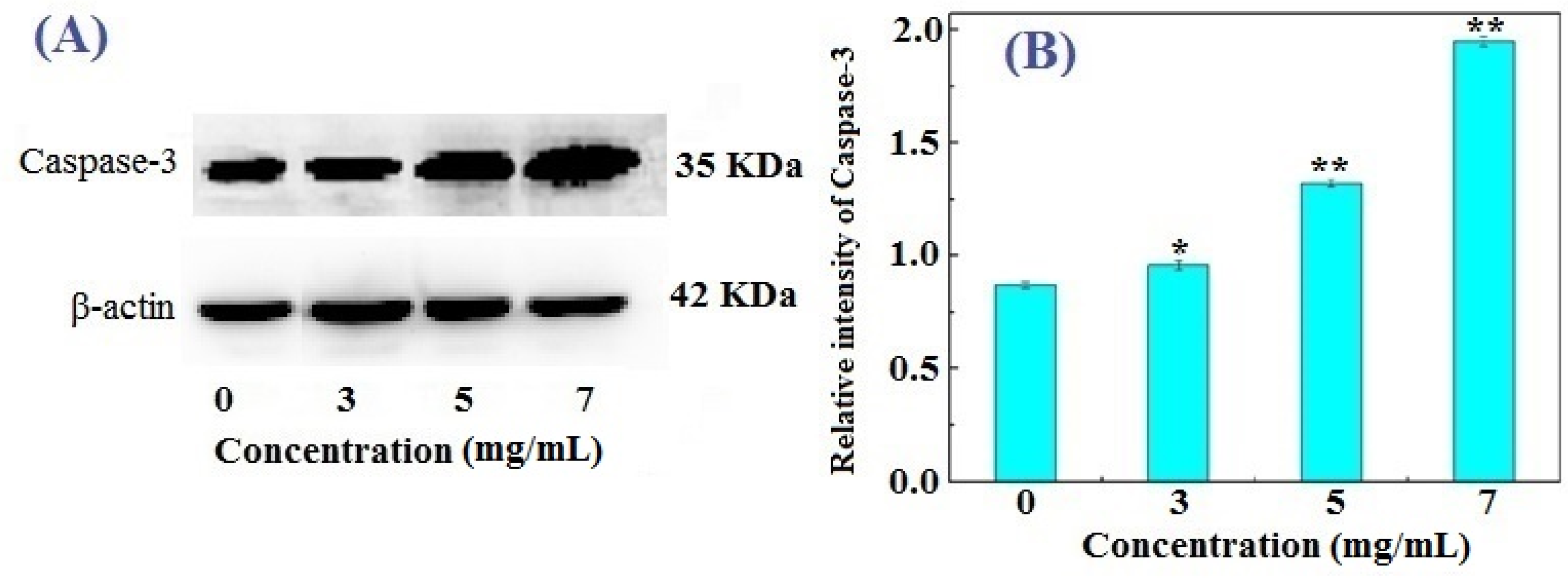 Marinedrugs 14 00153 g005 1024