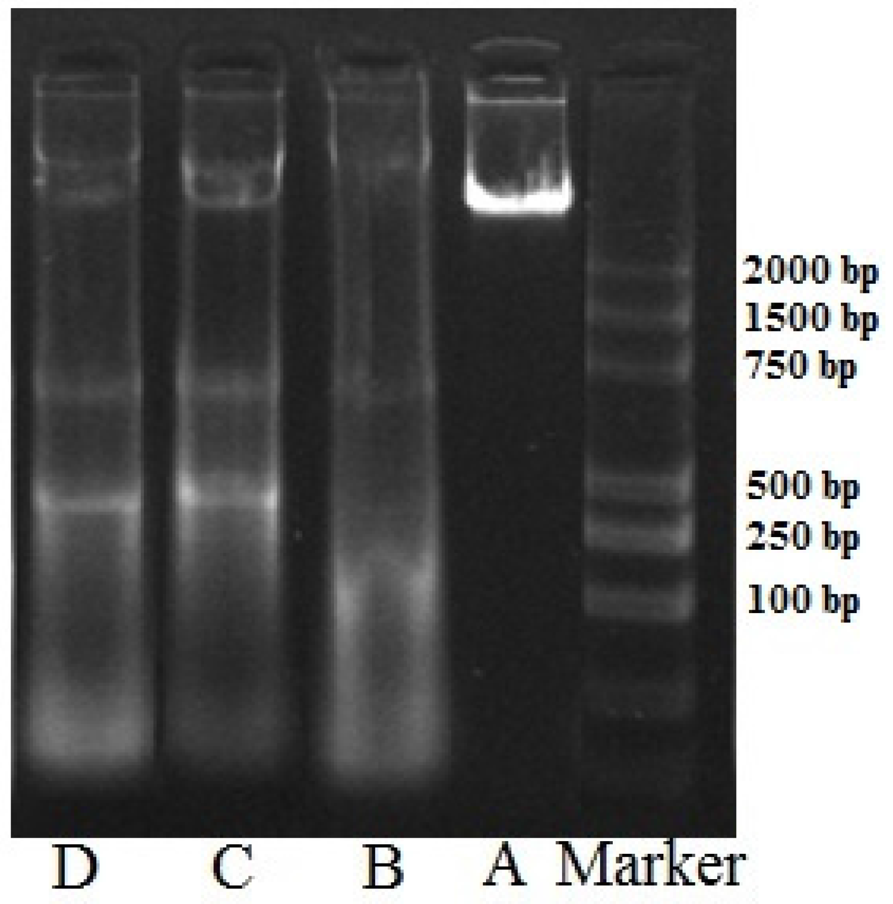 Marinedrugs 14 00153 g006 1024
