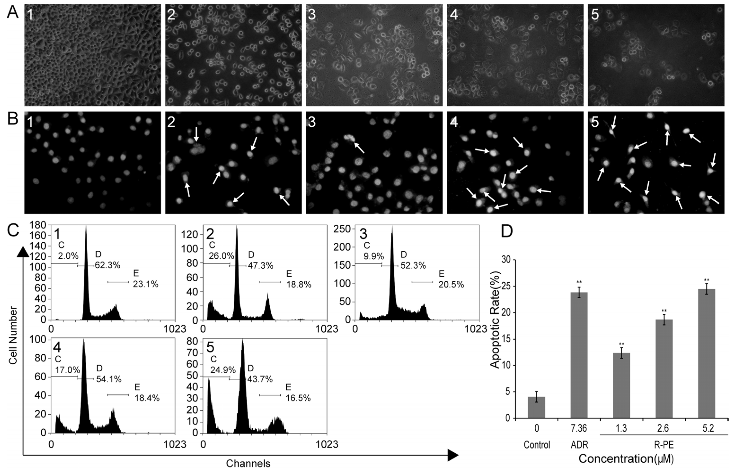 Marinedrugs 14 00166 g002 1024