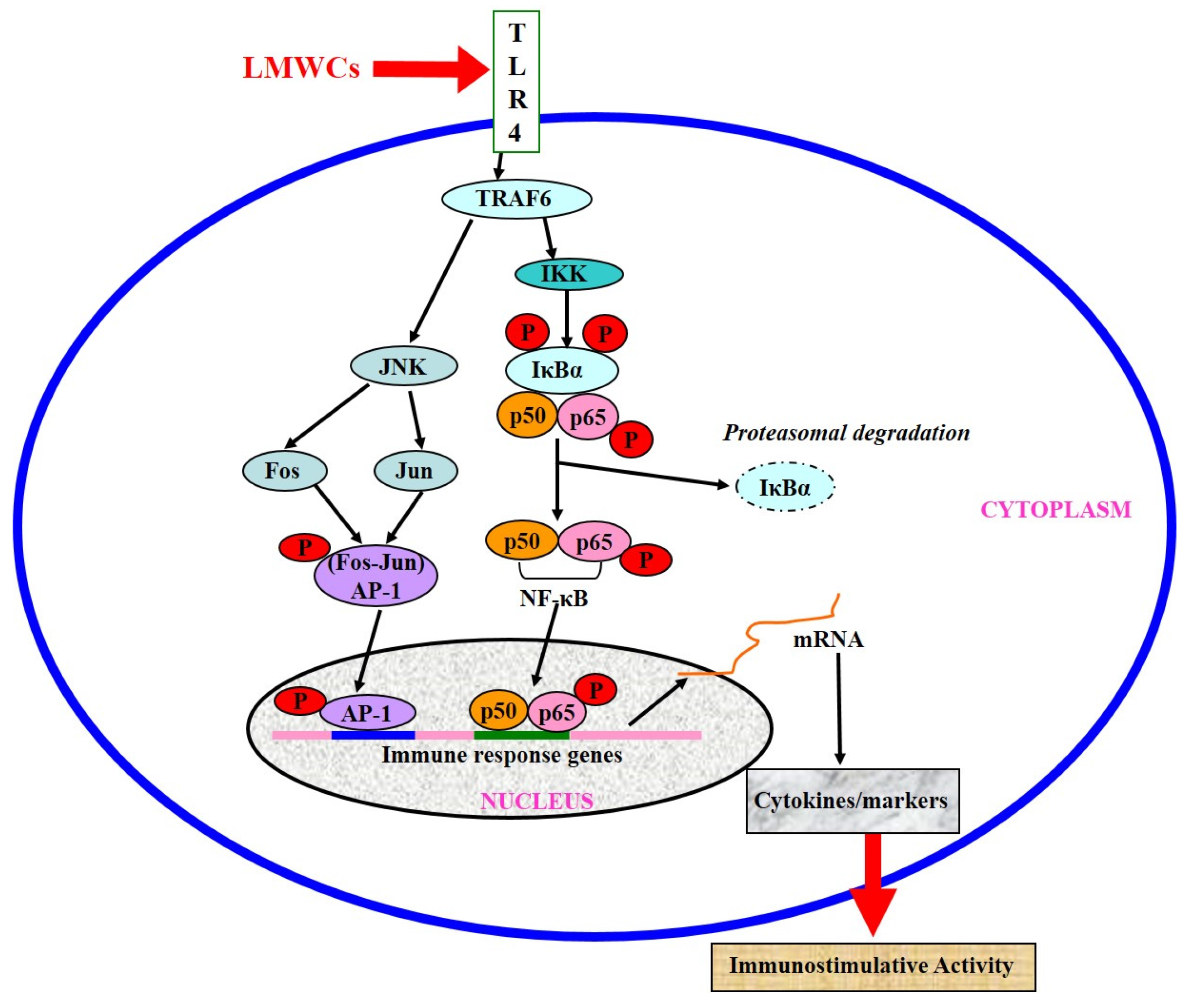 Marinedrugs 14 00169 g007