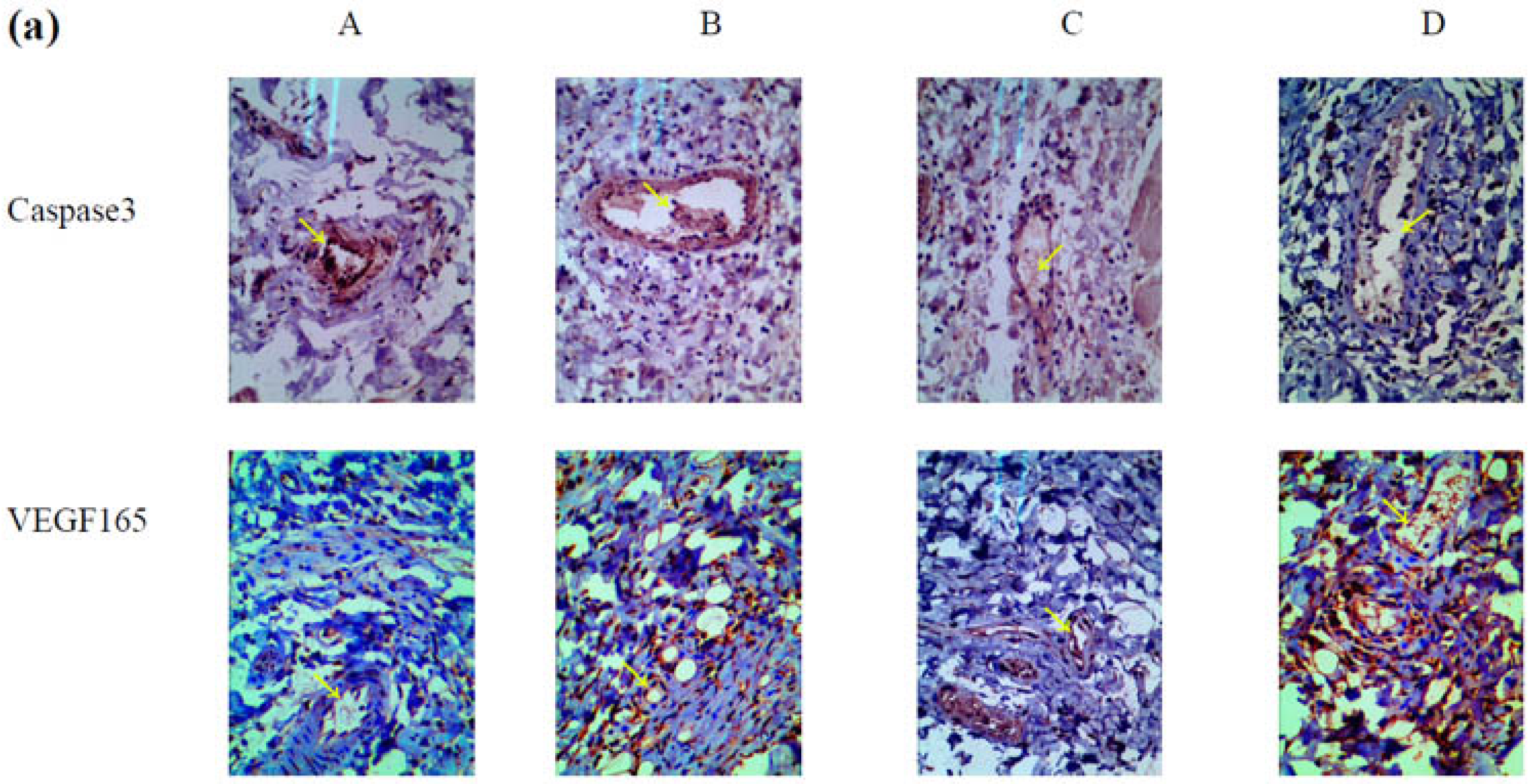 Marinedrugs 14 00182 g005a 550