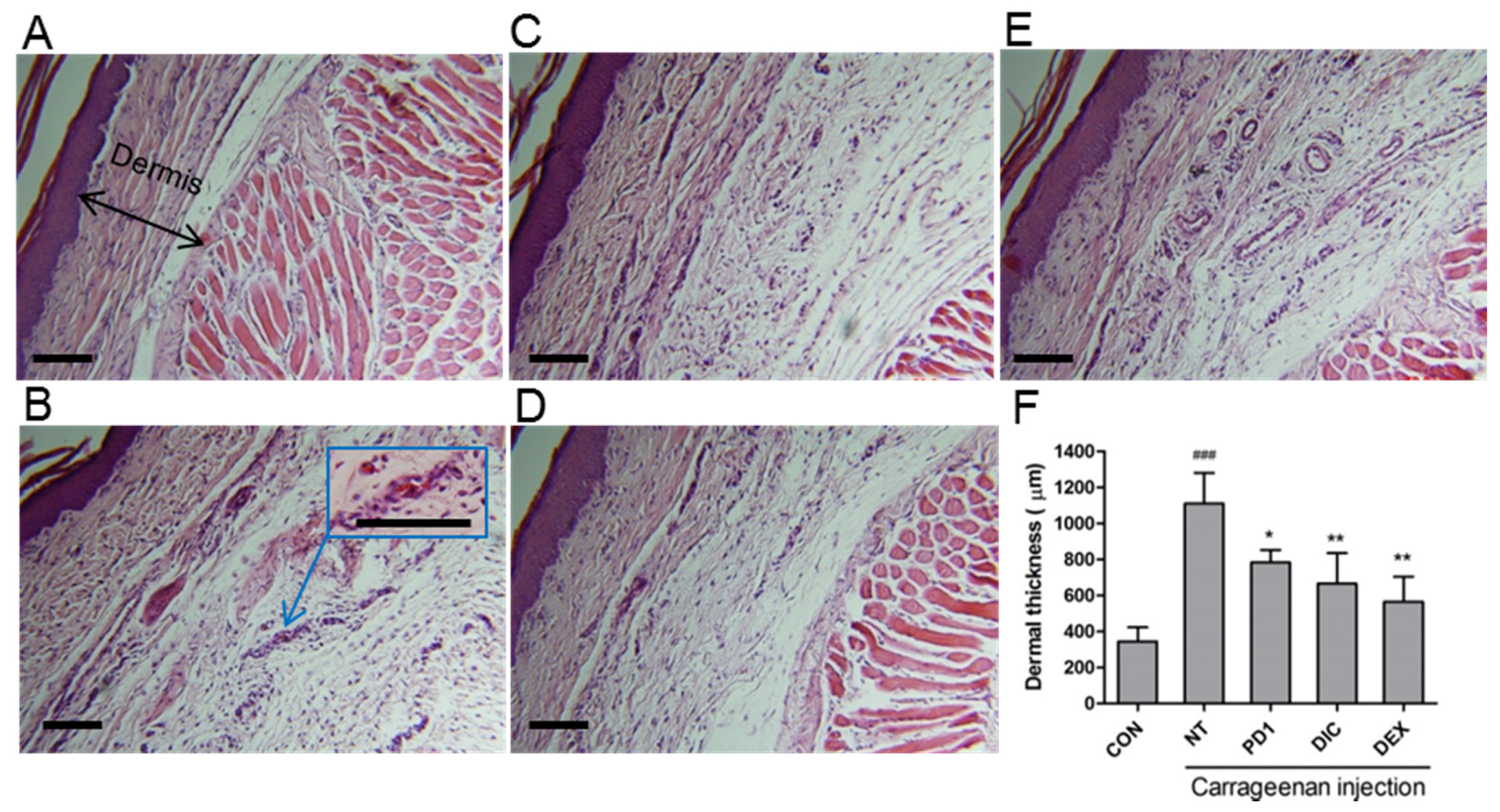 Marinedrugs 15 00007 g009 550