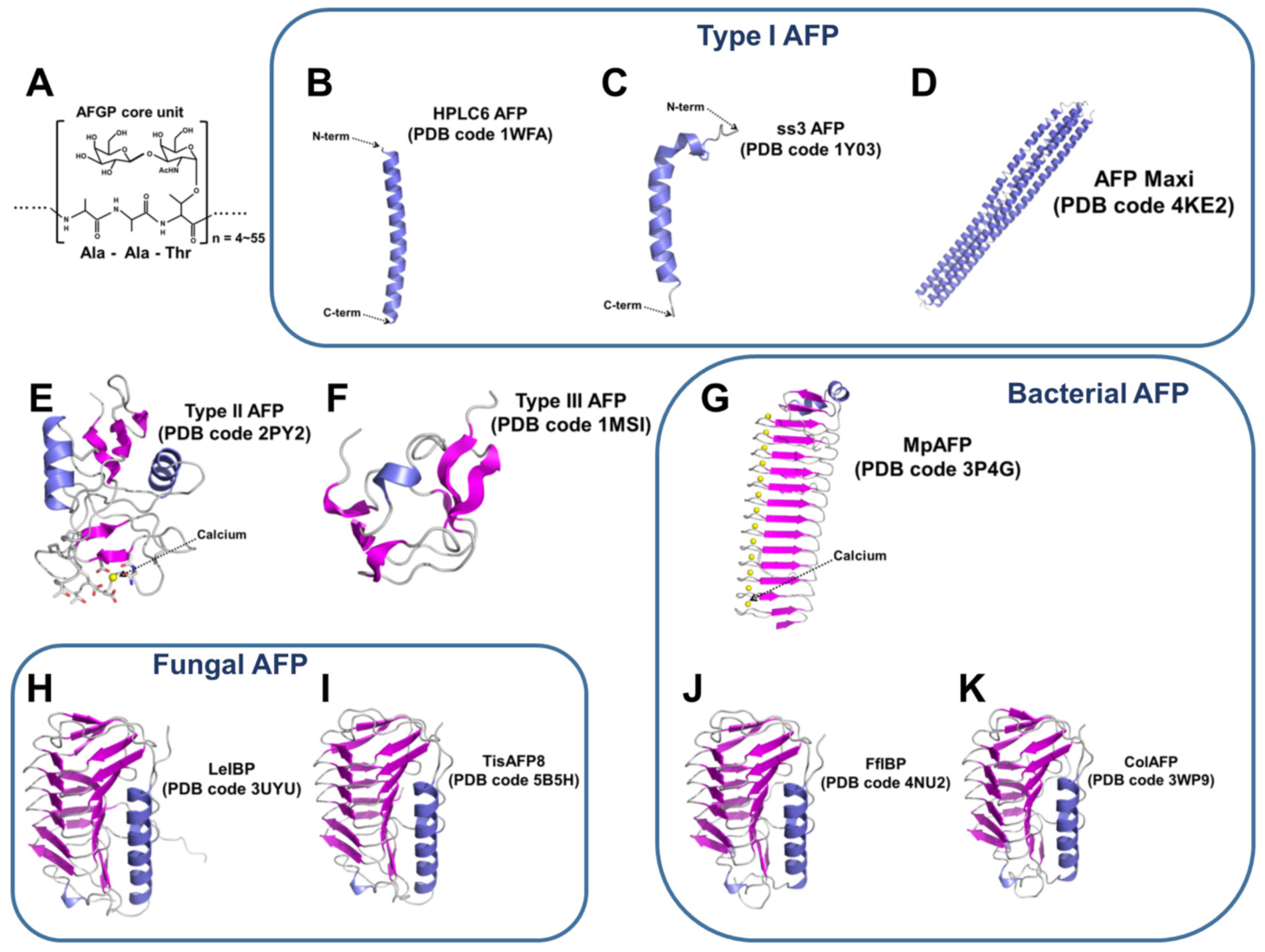 Genetic and structural basis of the human anti-α-galactosyl