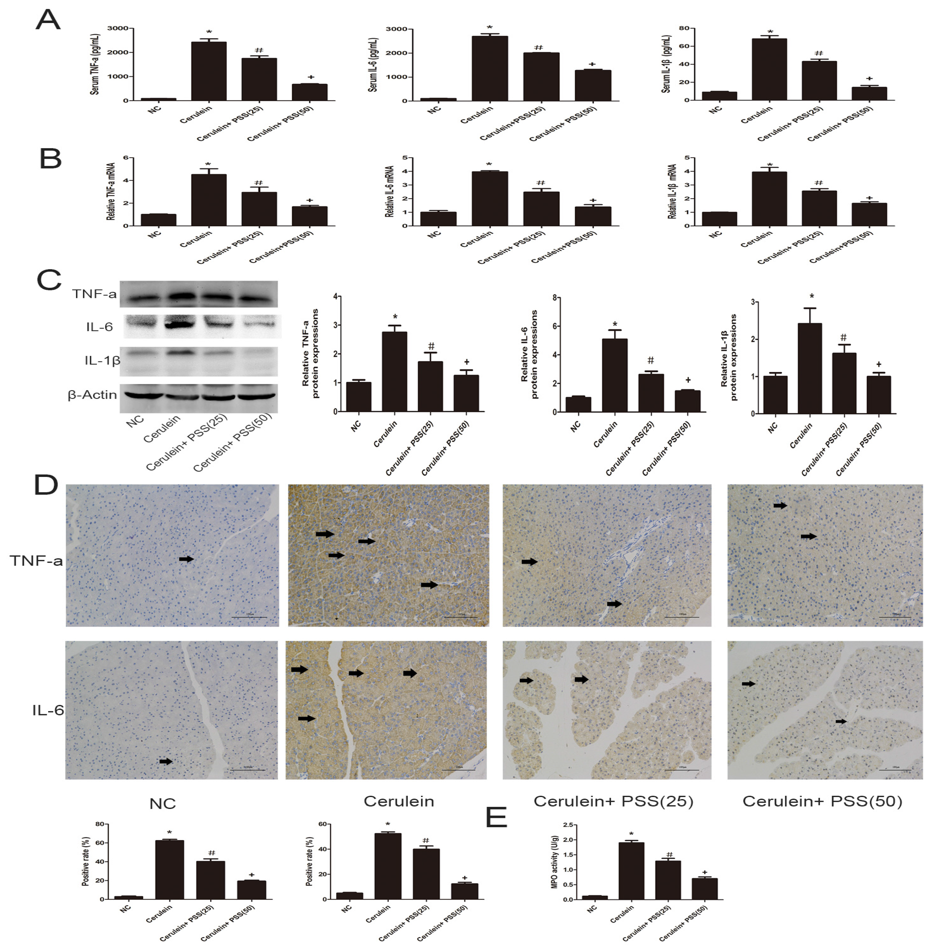 Marinedrugs 15 00045 g003