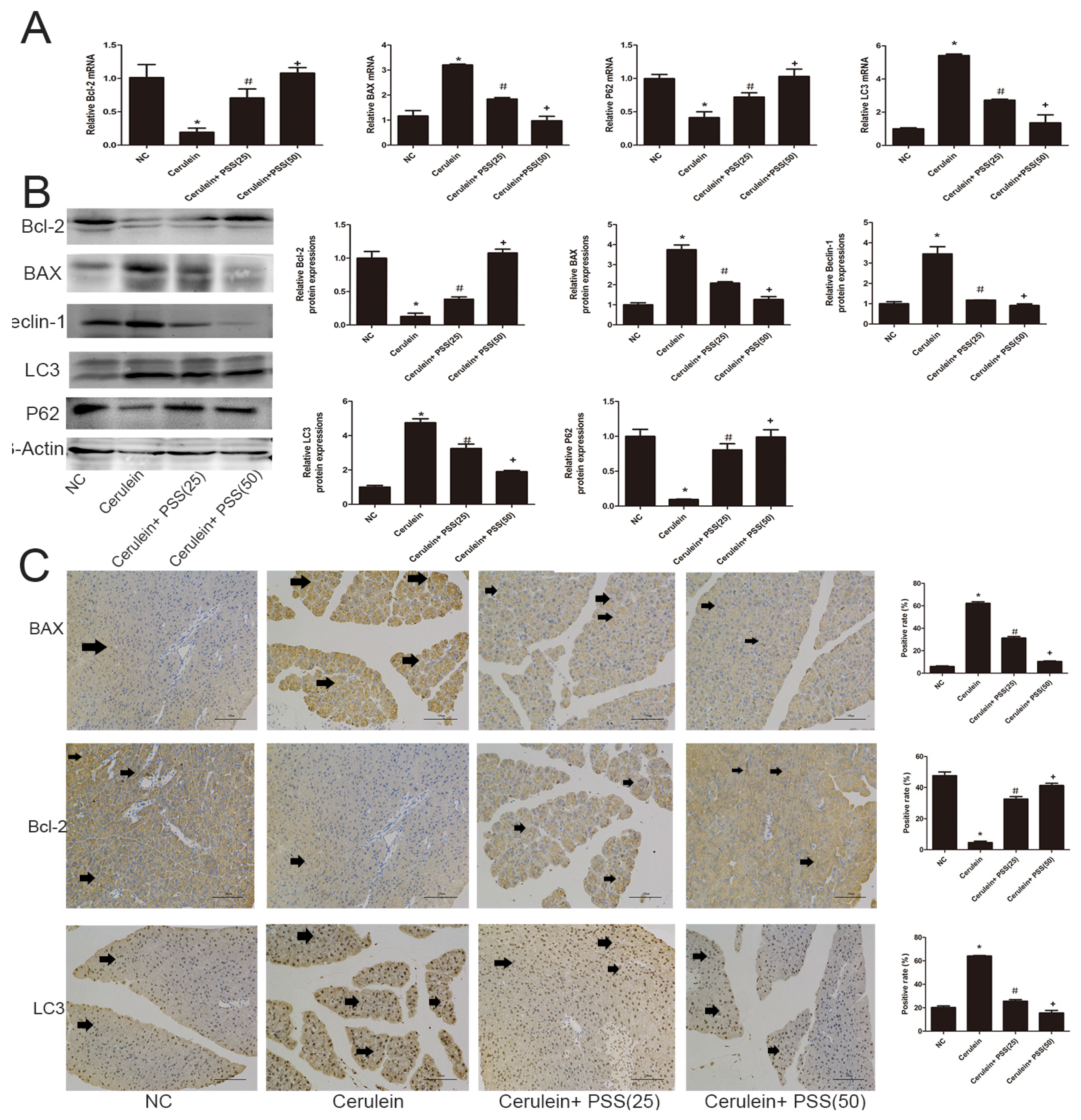 Marinedrugs 15 00045 g004a