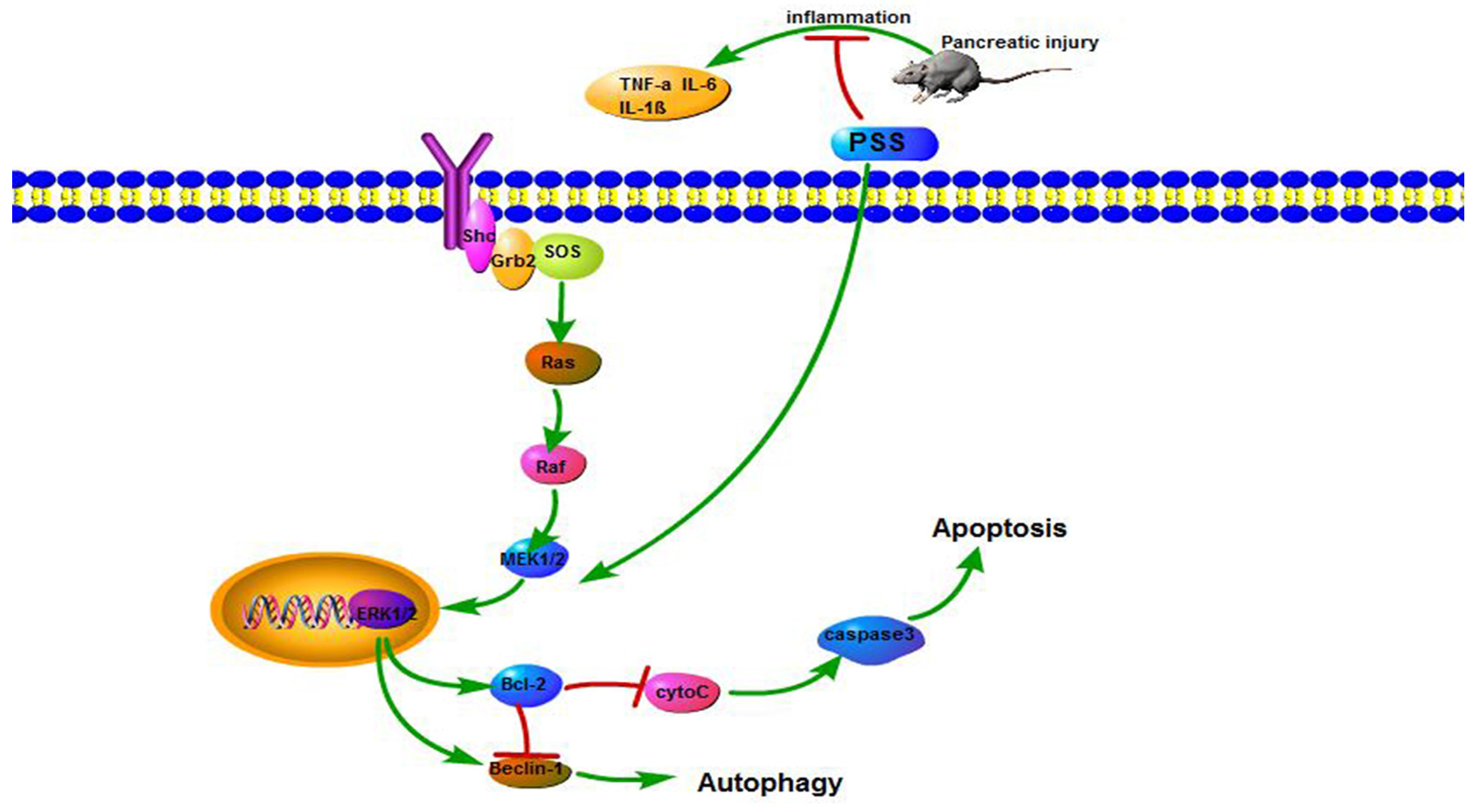 Marinedrugs 15 00045 g006