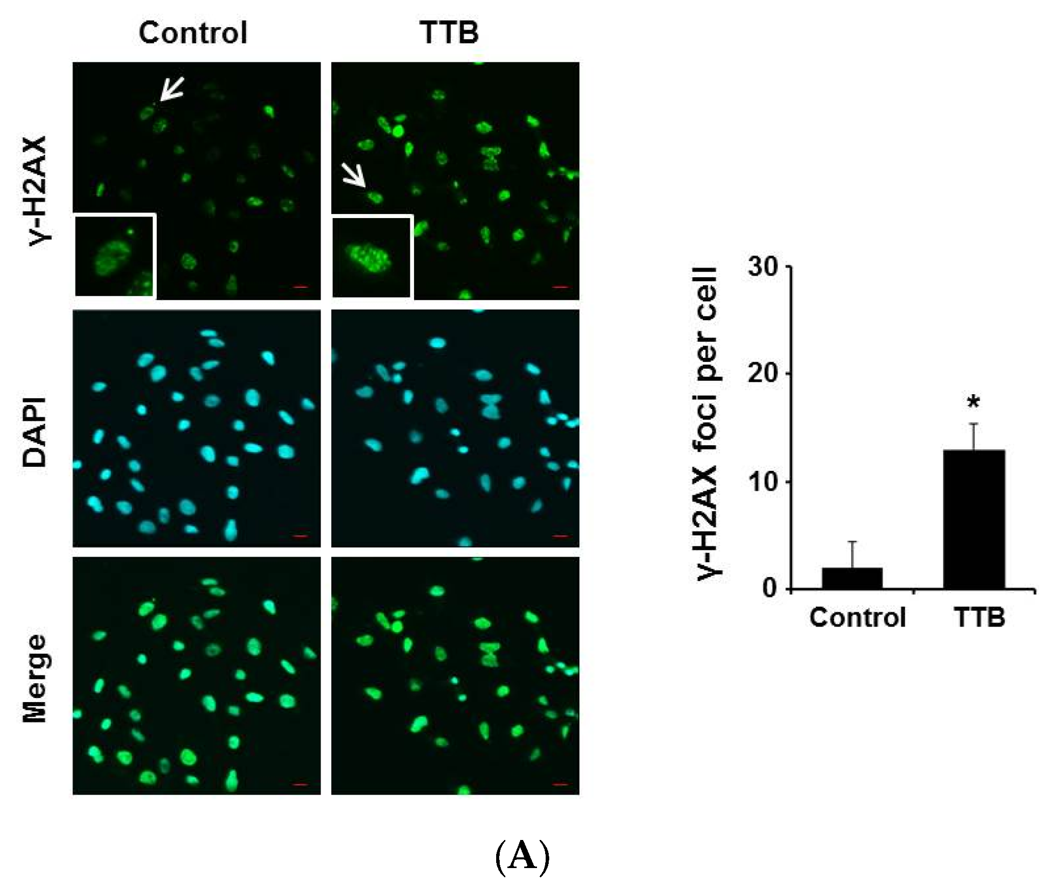 Marinedrugs 15 00055 g003a