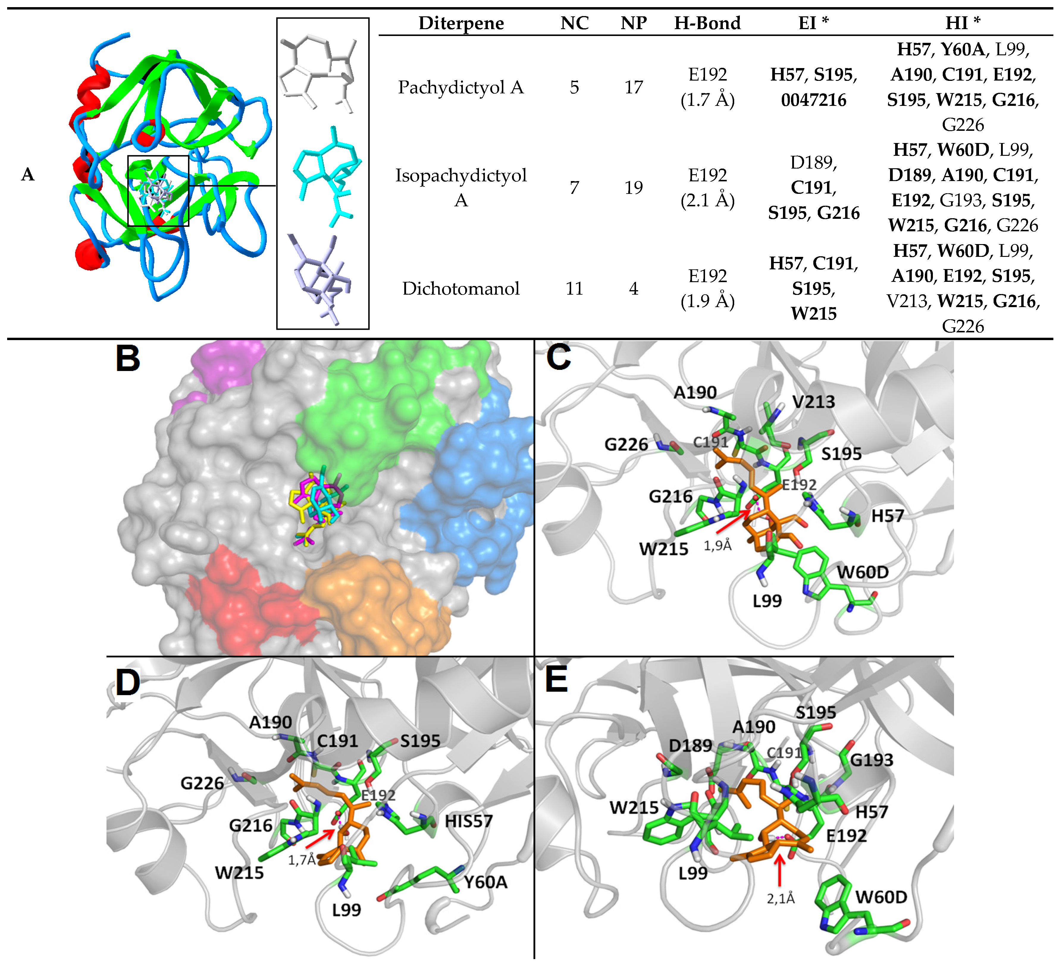 Marinedrugs 15 00079 g006