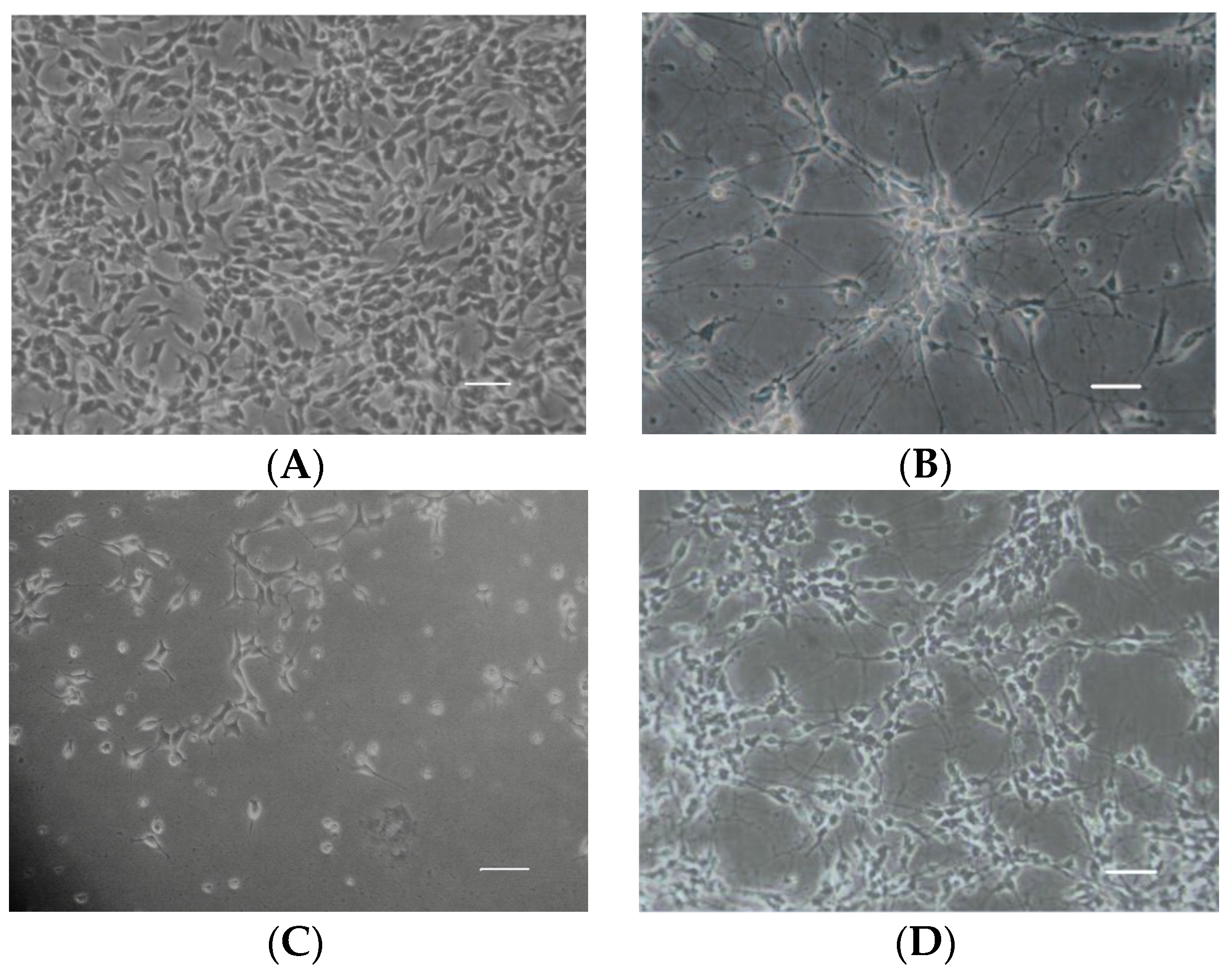 Marinedrugs 15 00083 g004