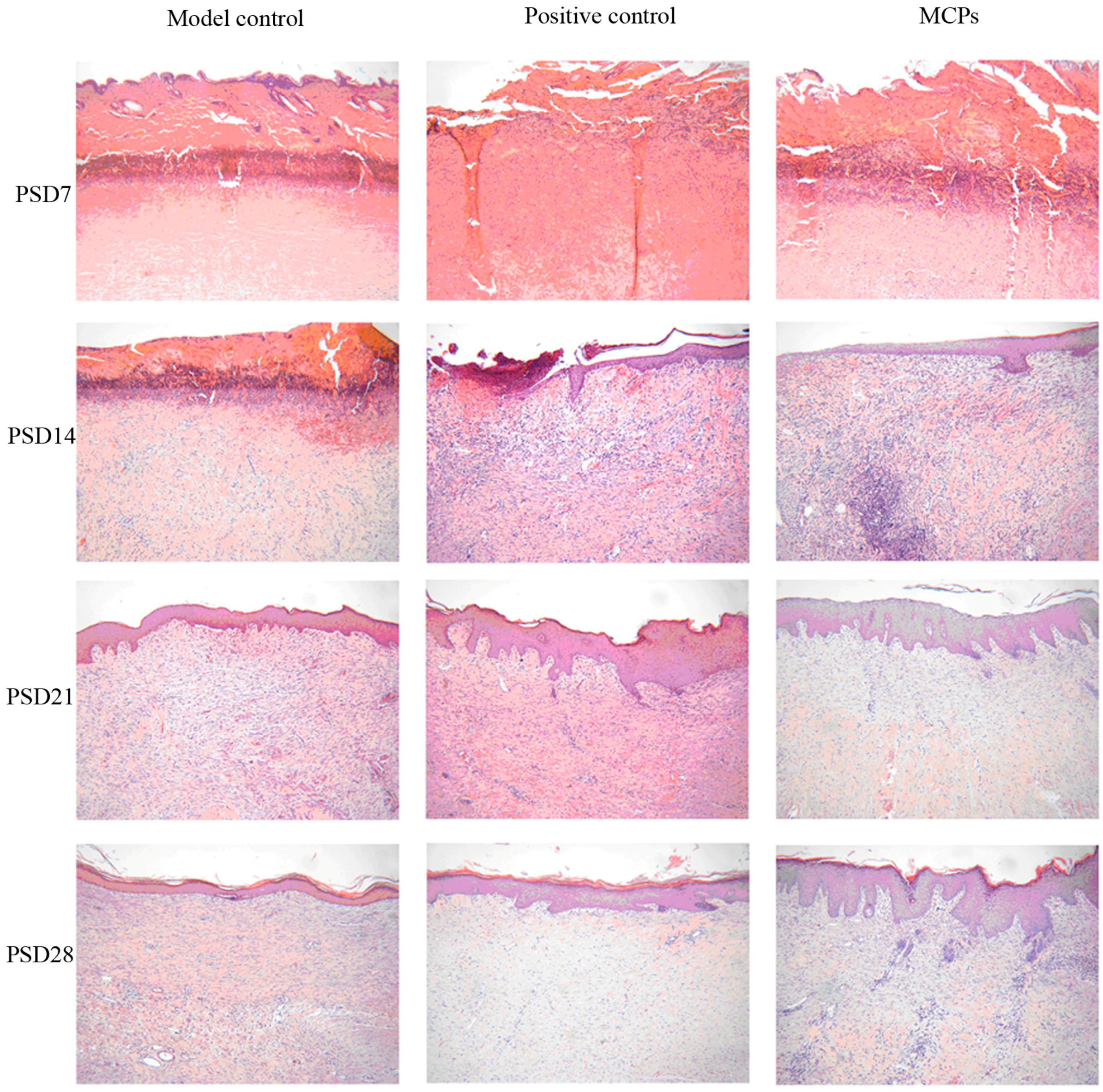 Marinedrugs 15 00102 g005