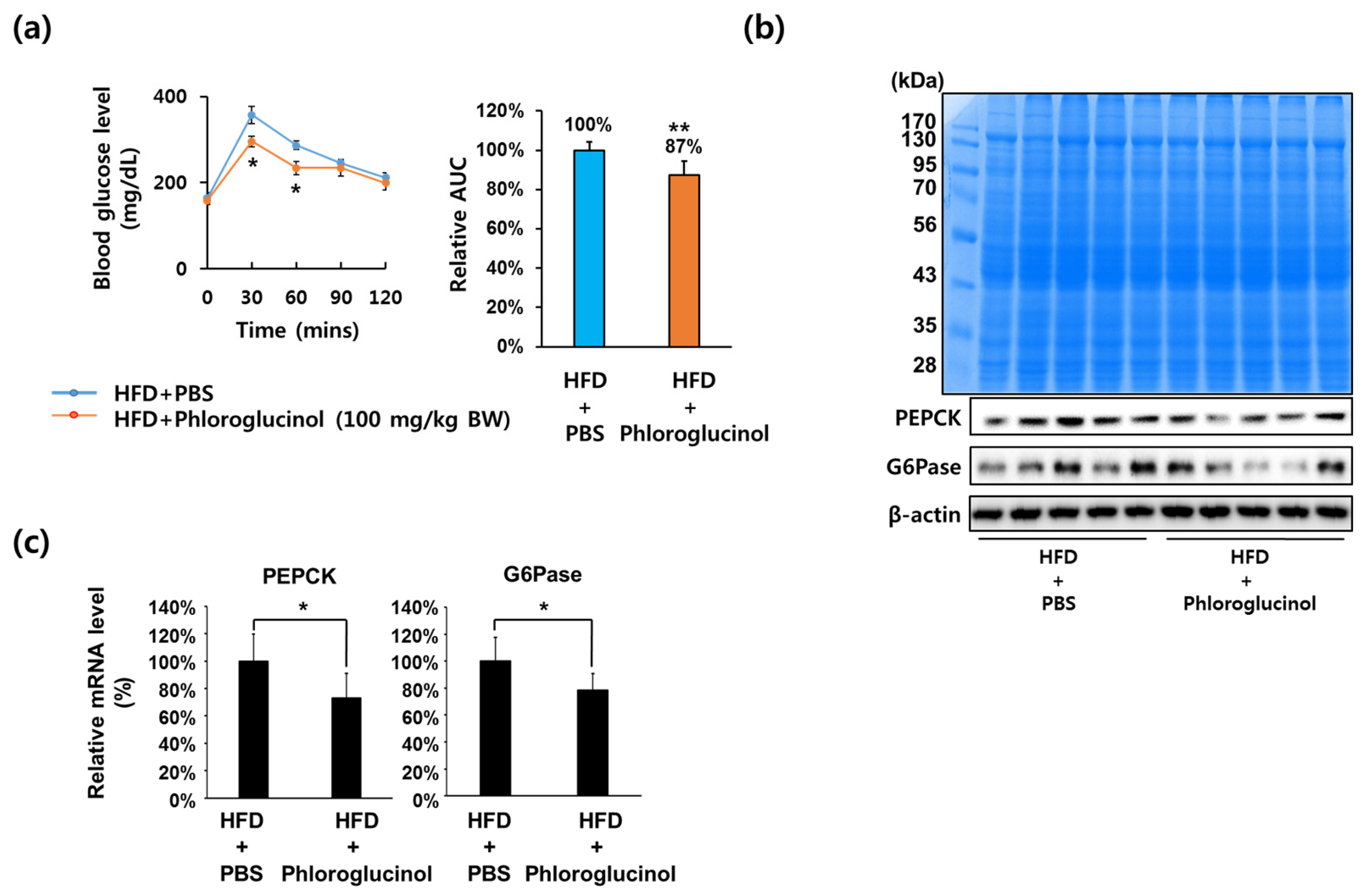 Marinedrugs 15 00106 g001