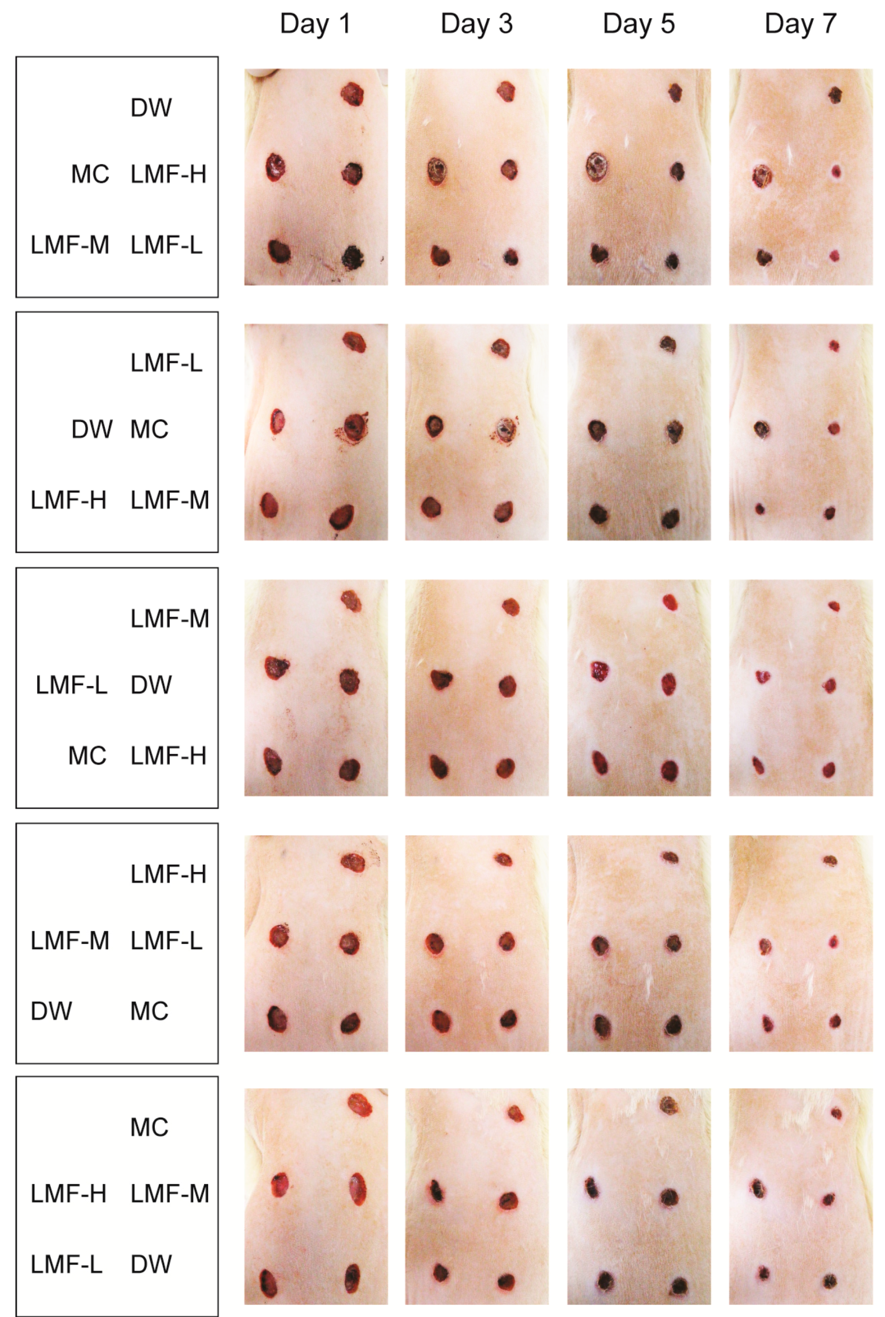 Marinedrugs 15 00112 g001