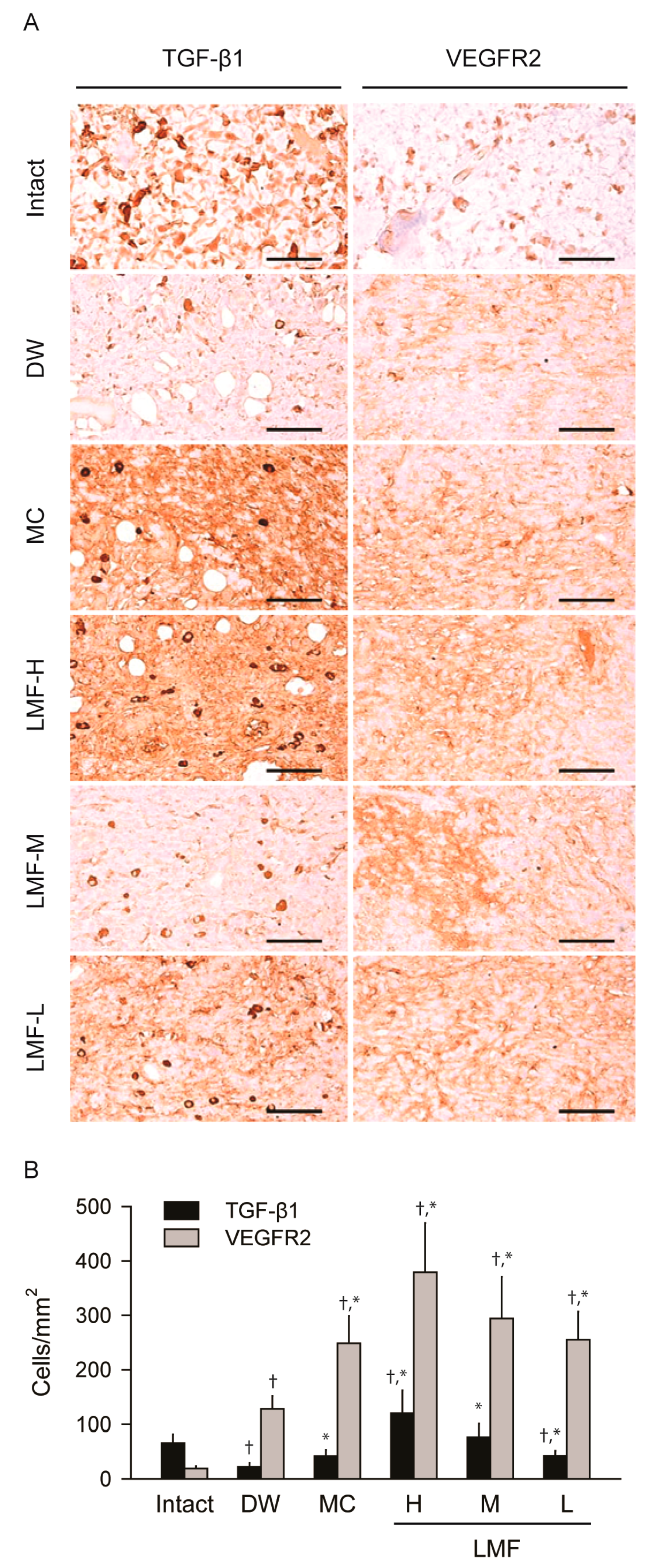 Marinedrugs 15 00112 g005