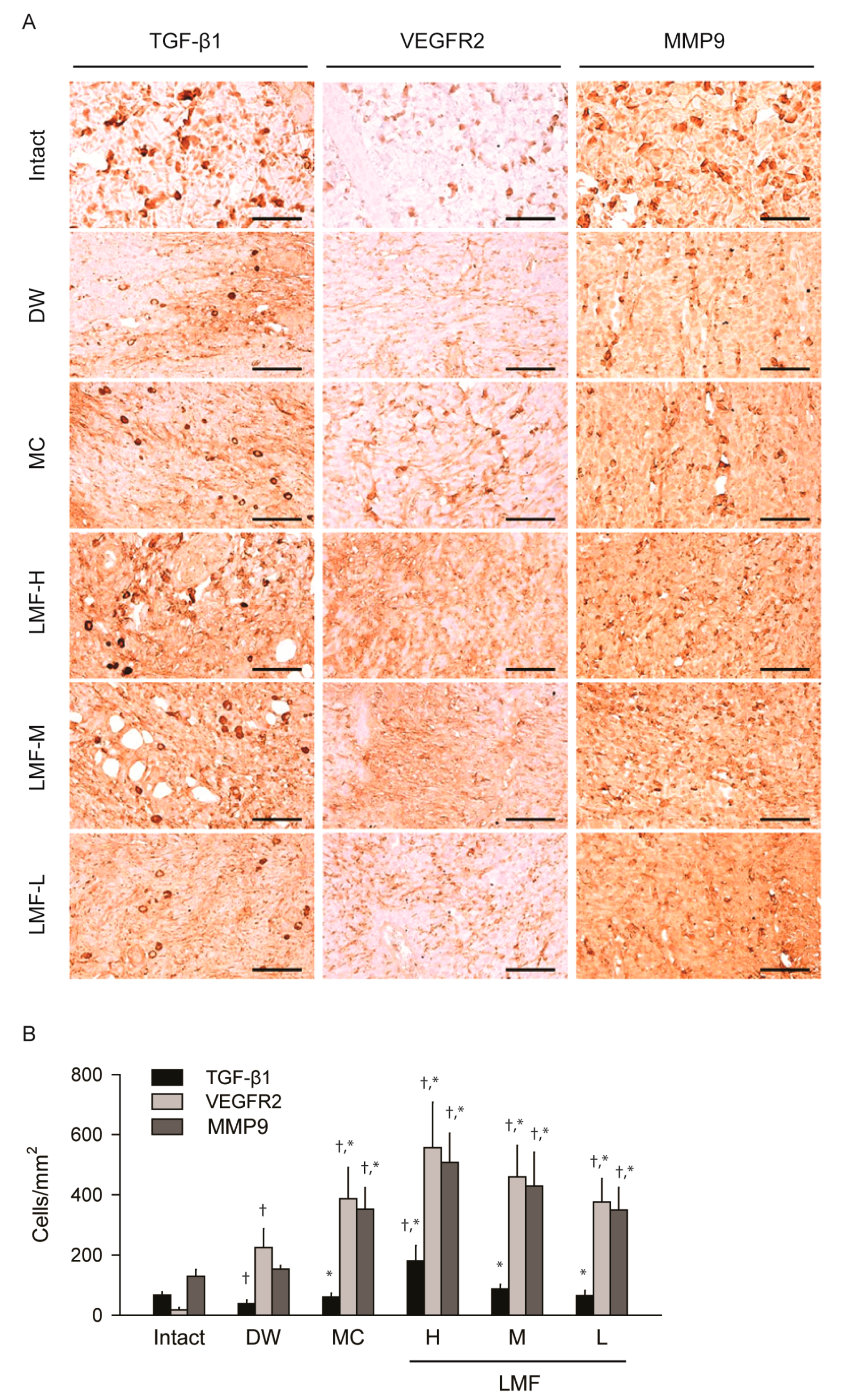 Marinedrugs 15 00112 g006
