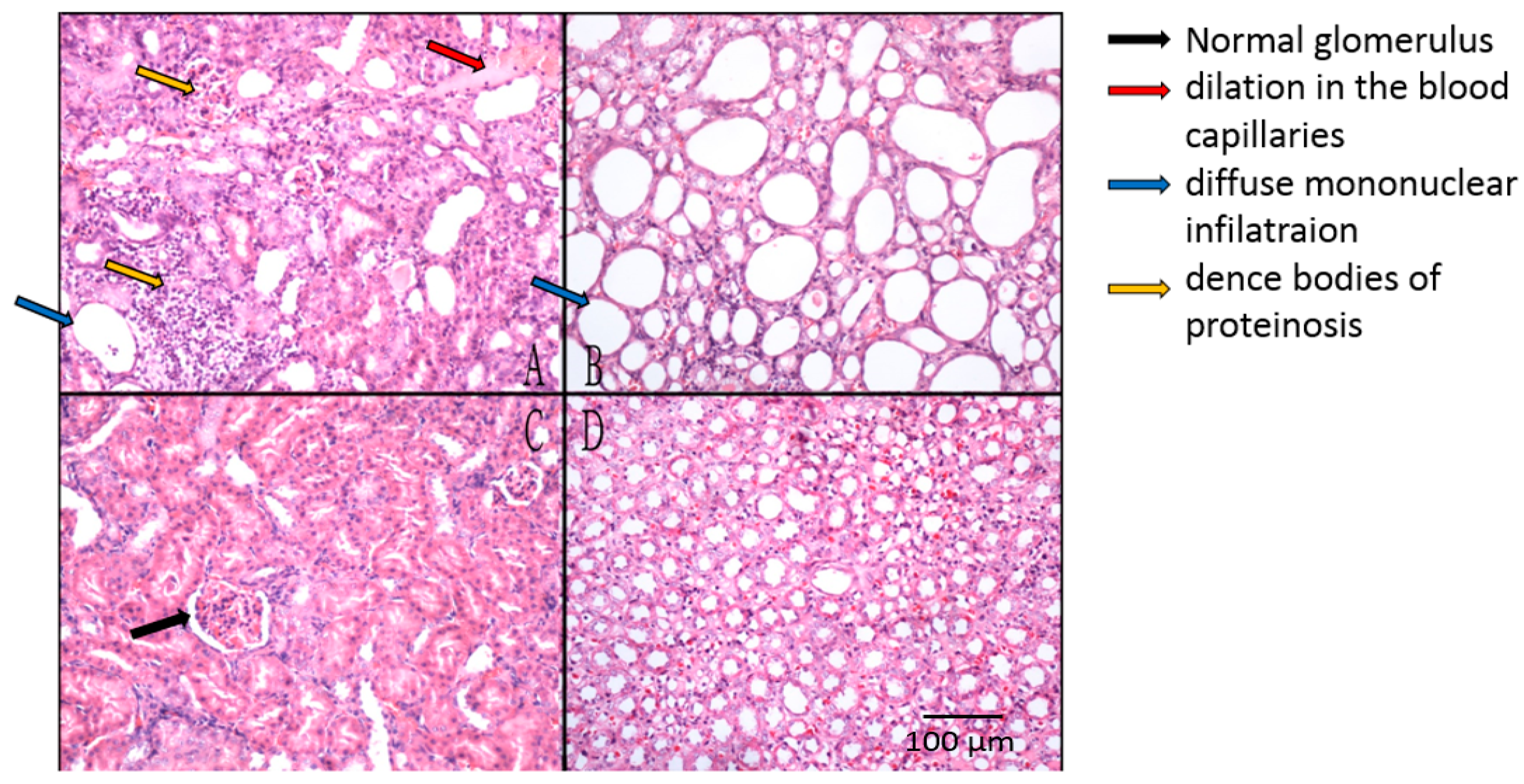 Marinedrugs 15 00135 g006 550