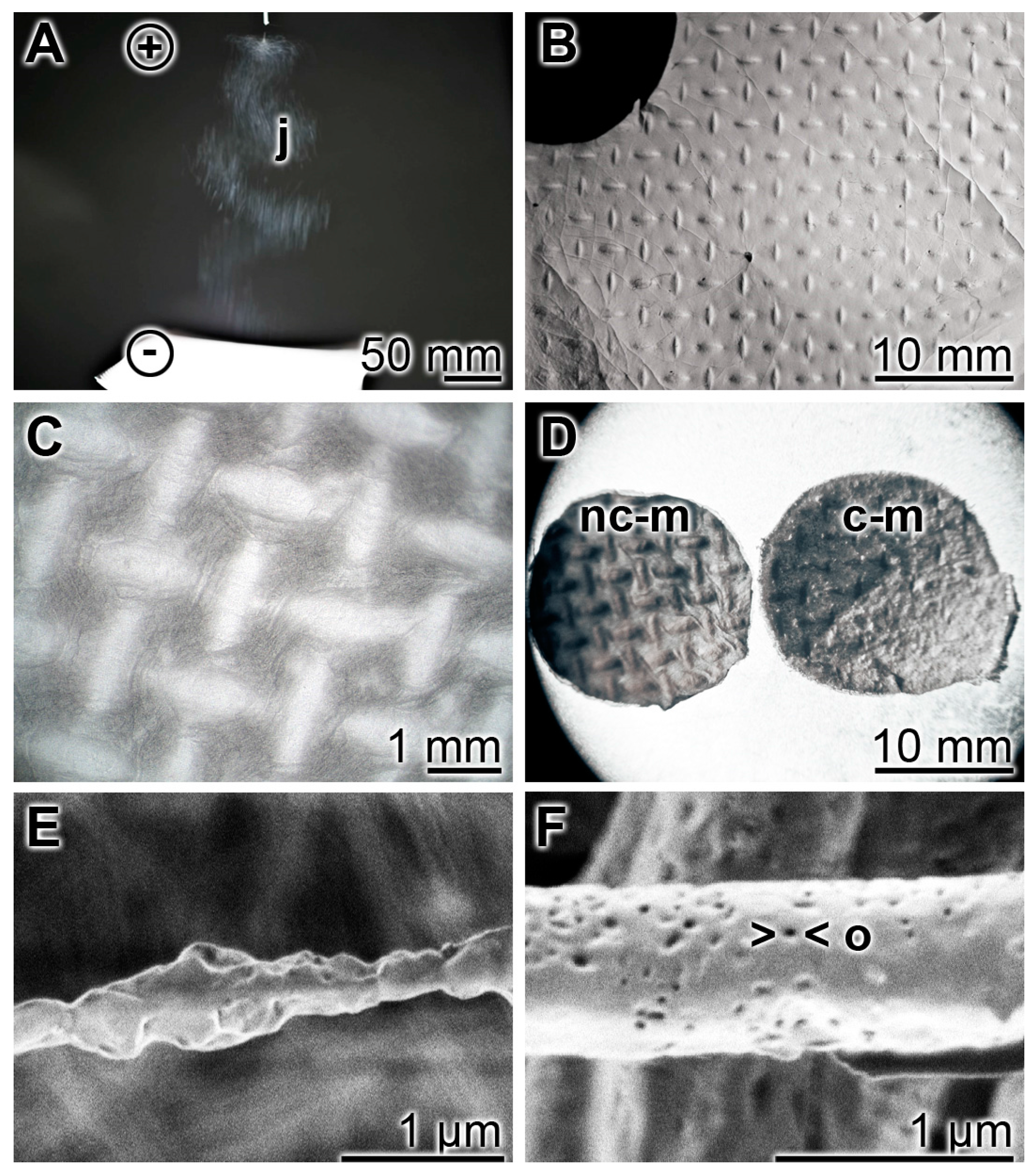 Marinedrugs 15 00142 g001 550