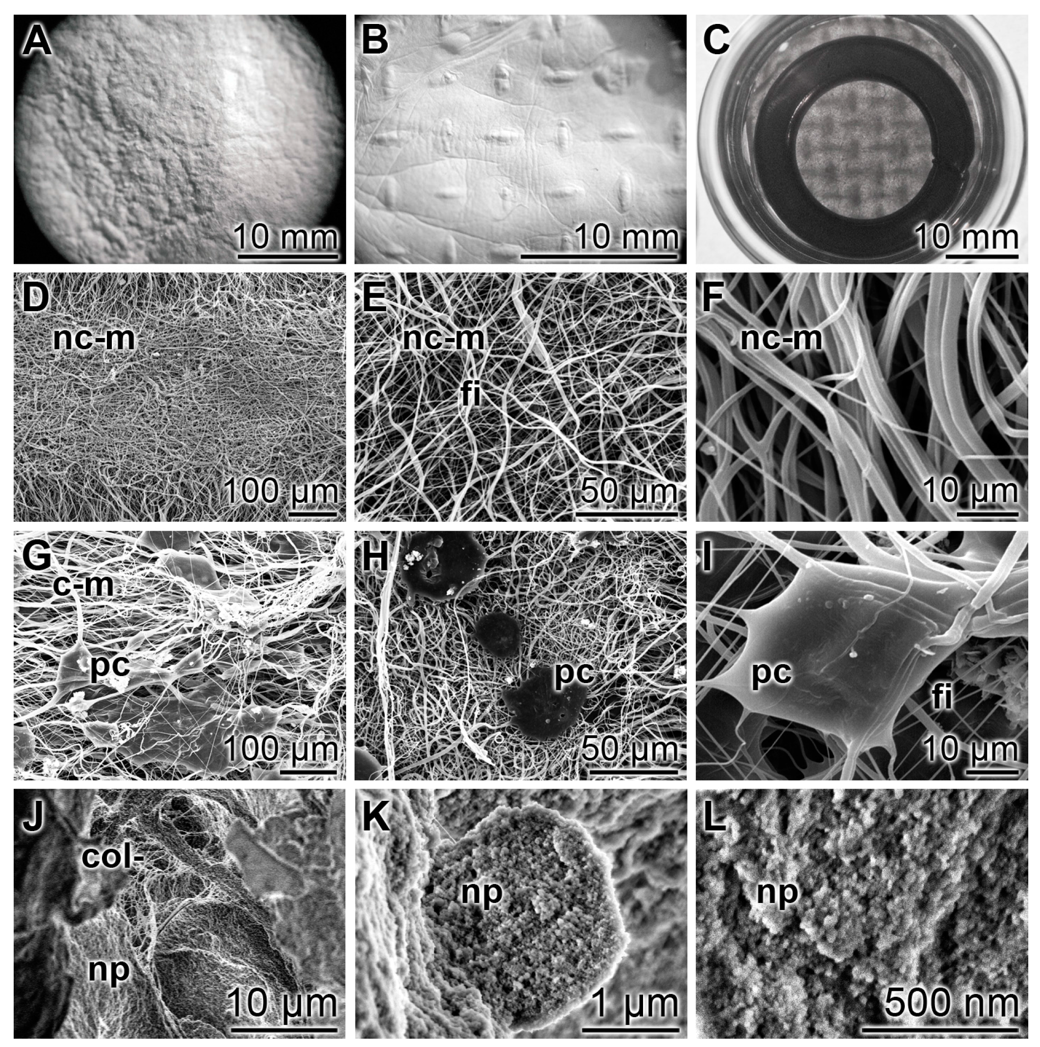 Marinedrugs 15 00142 g002 550