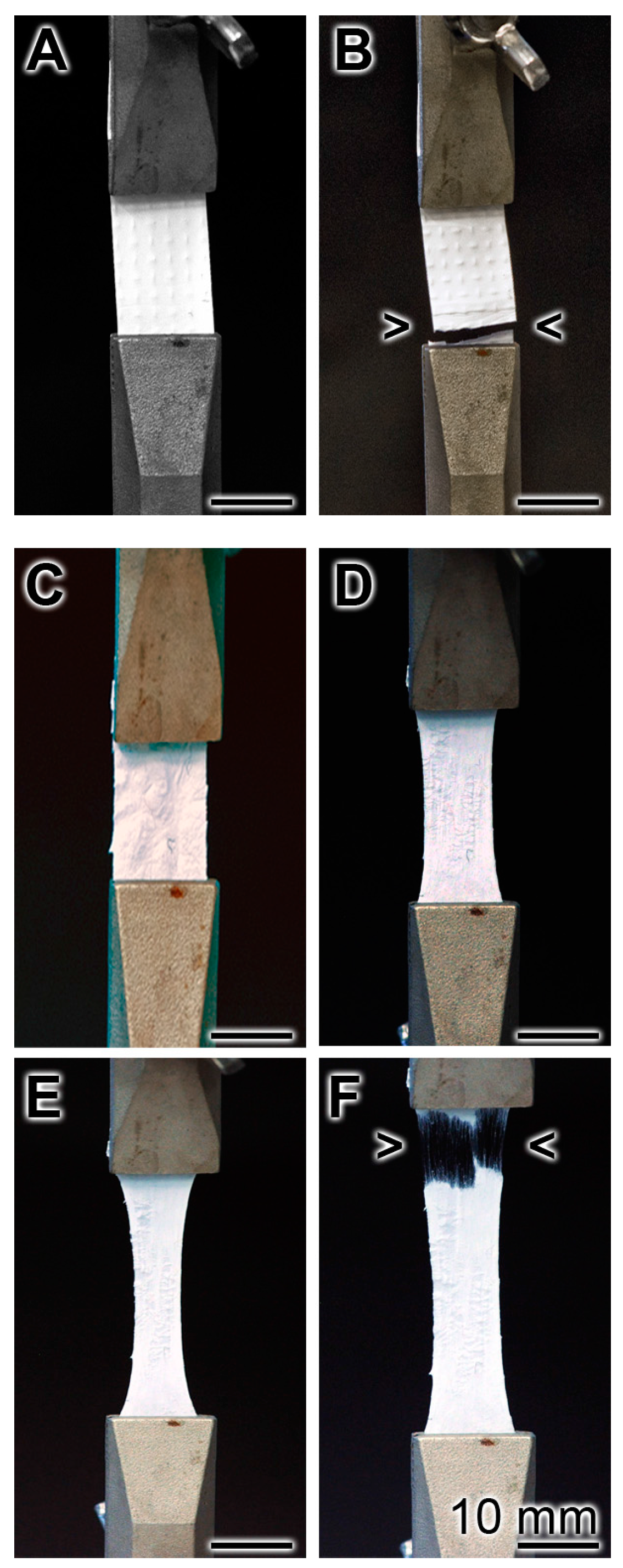 Marinedrugs 15 00142 g003 550