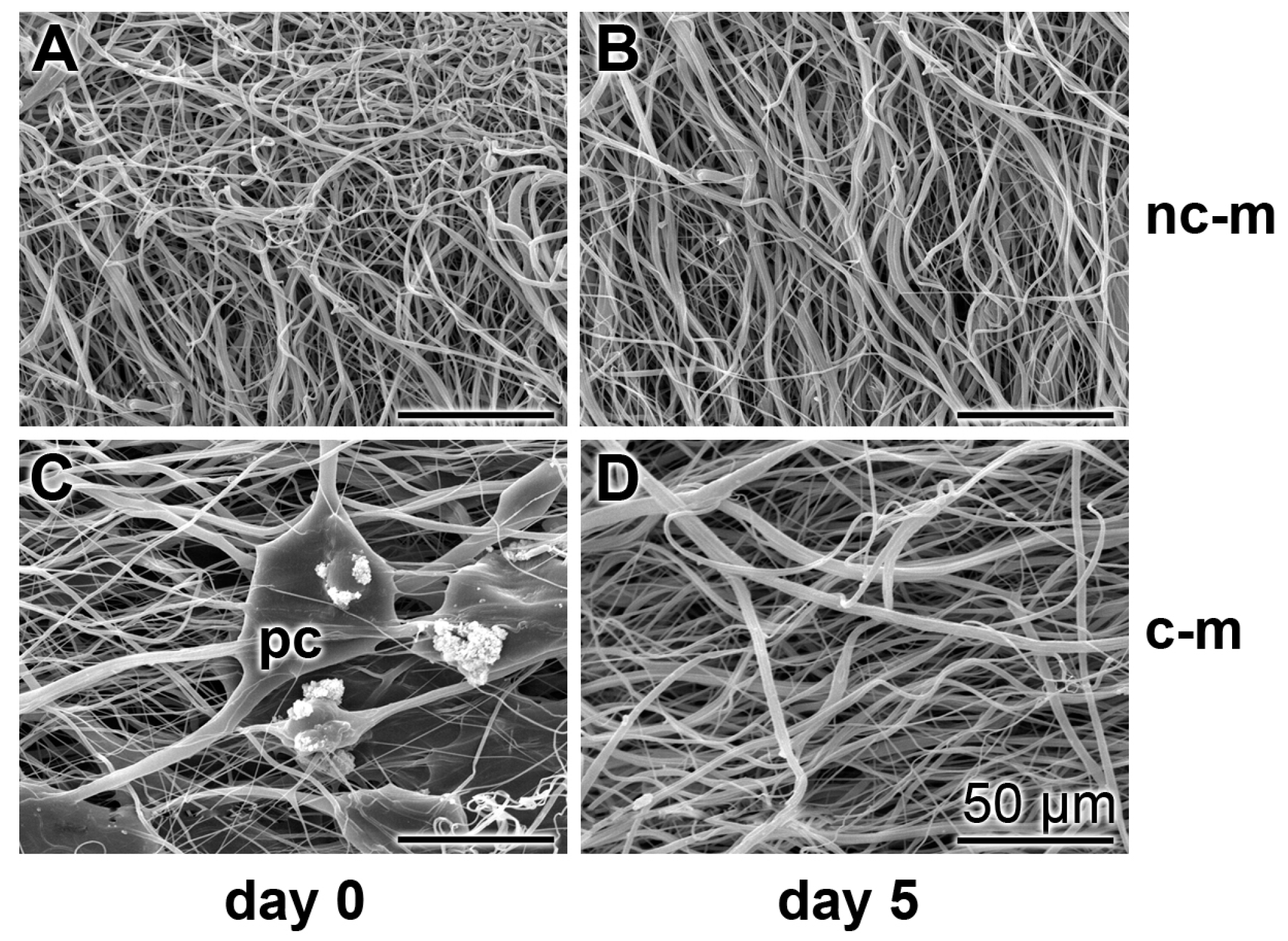 Marinedrugs 15 00142 g005 550