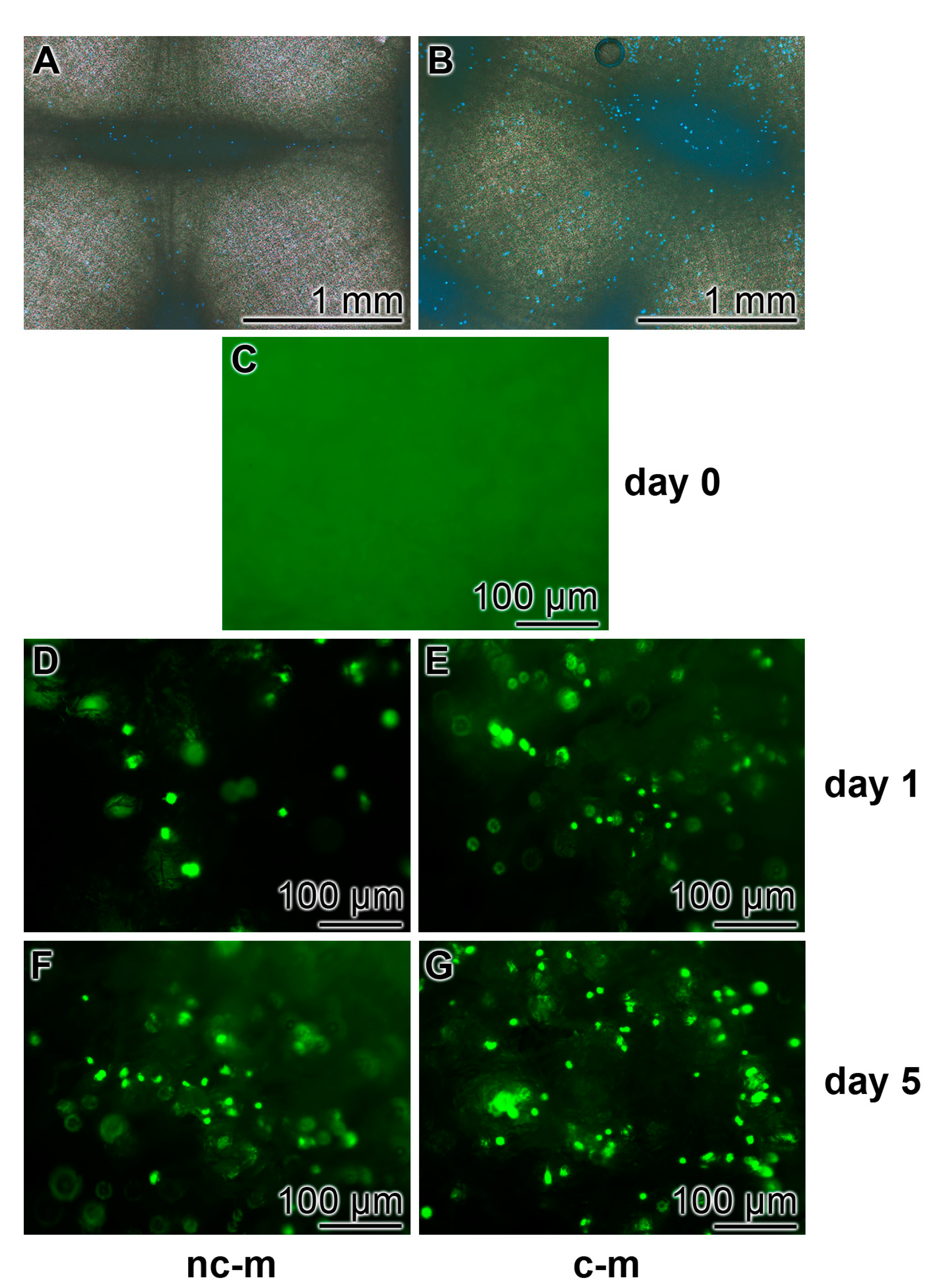 Marinedrugs 15 00142 g006 550