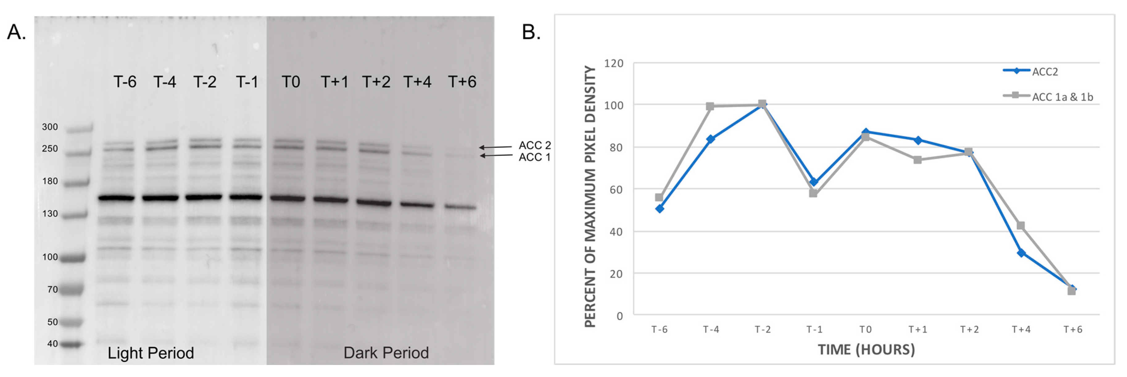Marinedrugs 15 00149 g003