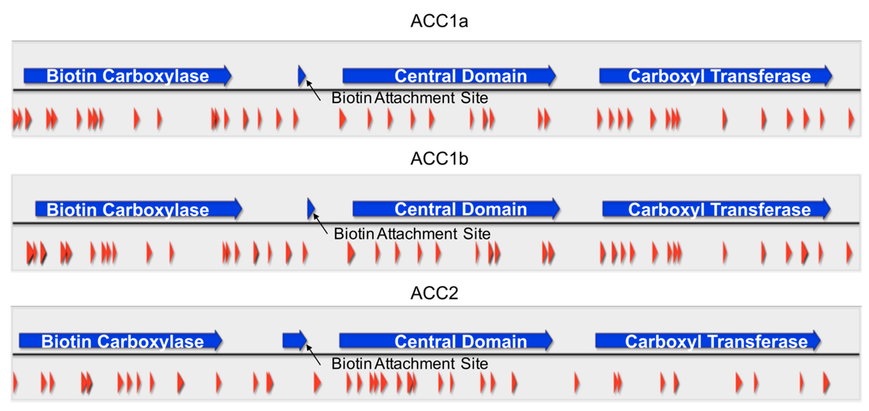 Marinedrugs 15 00149 g004