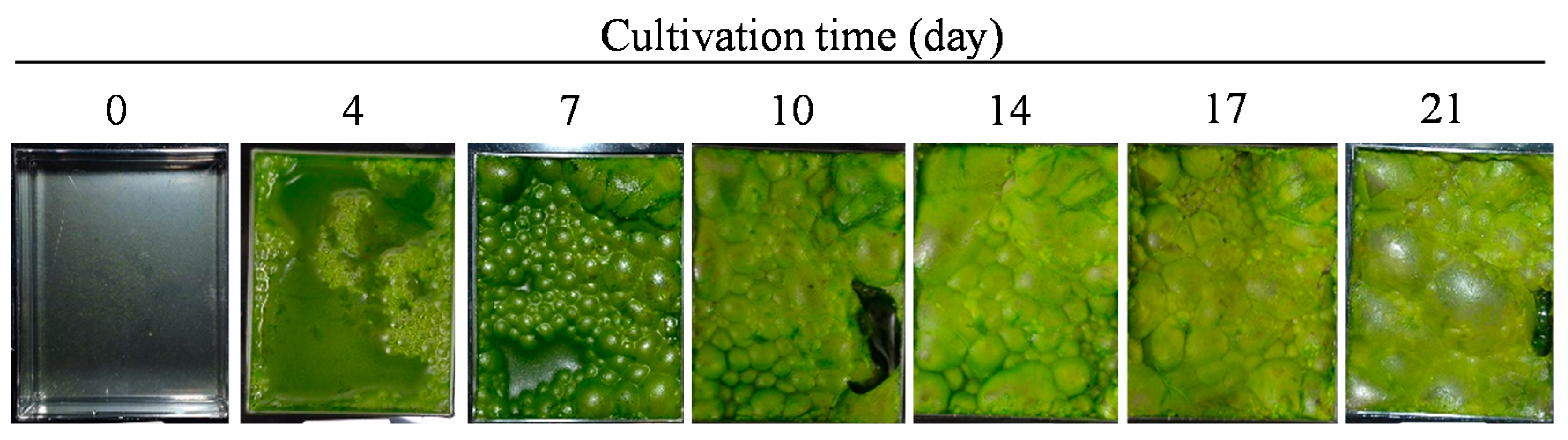 Marinedrugs 15 00151 g001