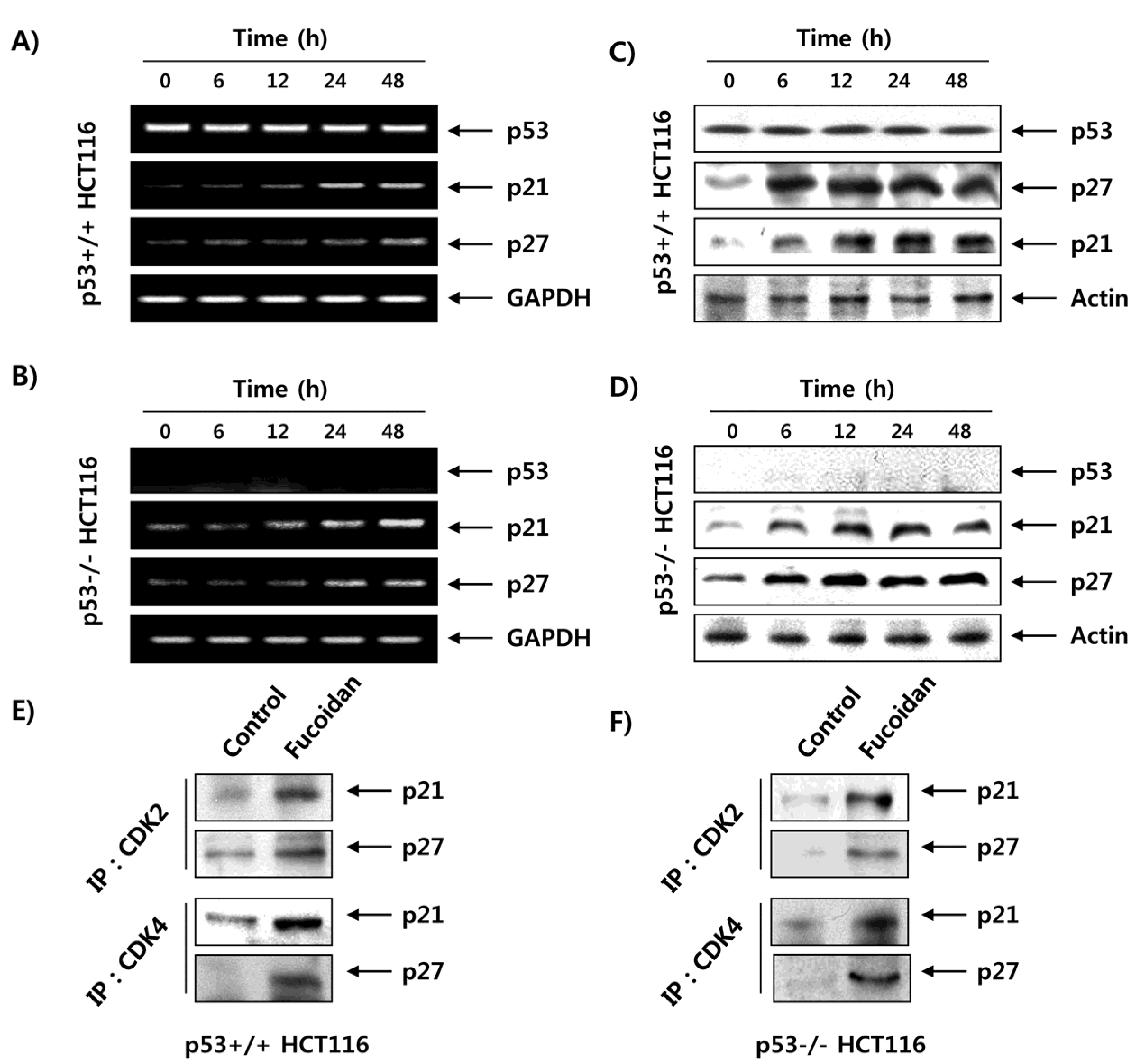 Marinedrugs 15 00154 g008 550