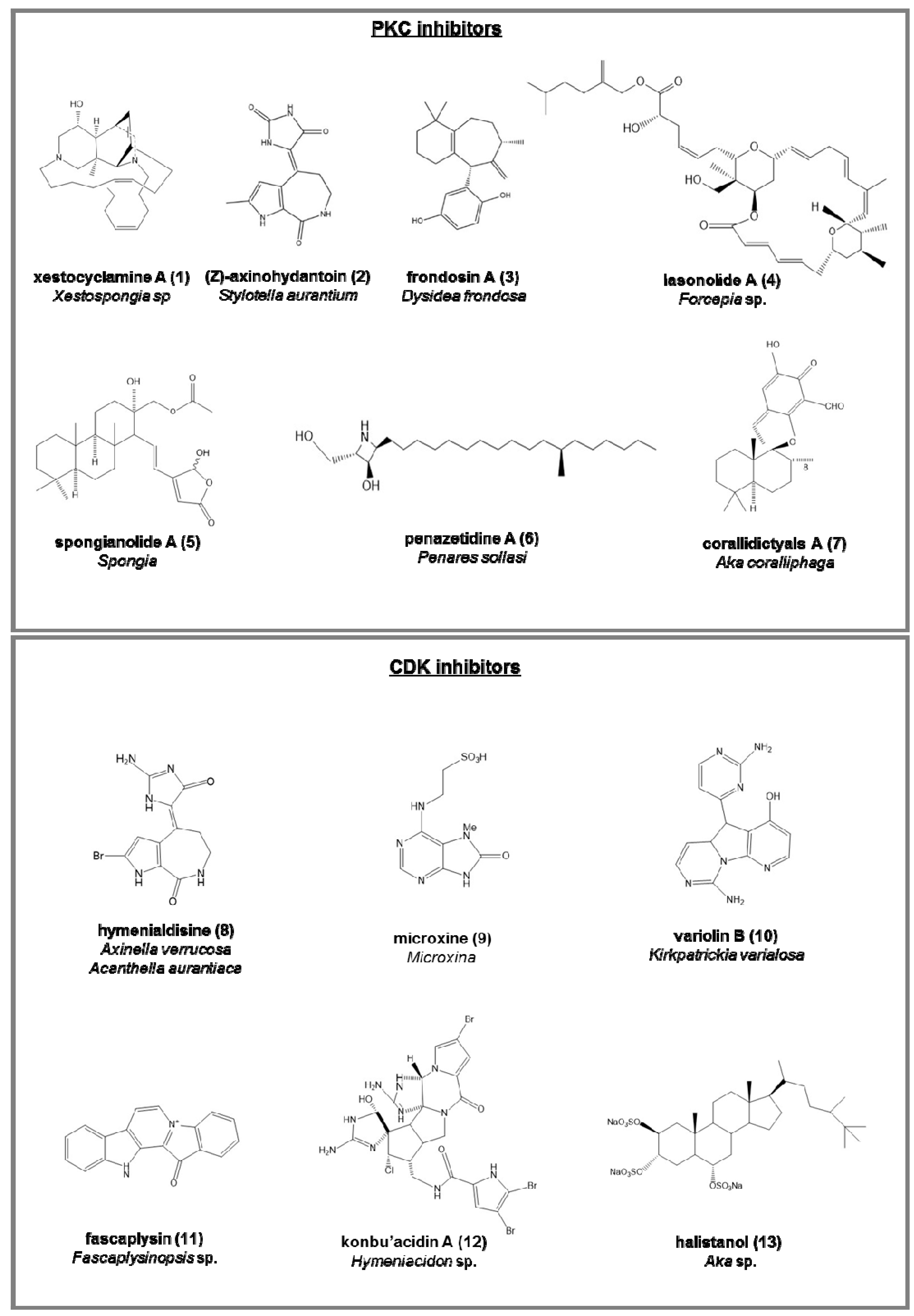 Marinedrugs 15 00173 g002