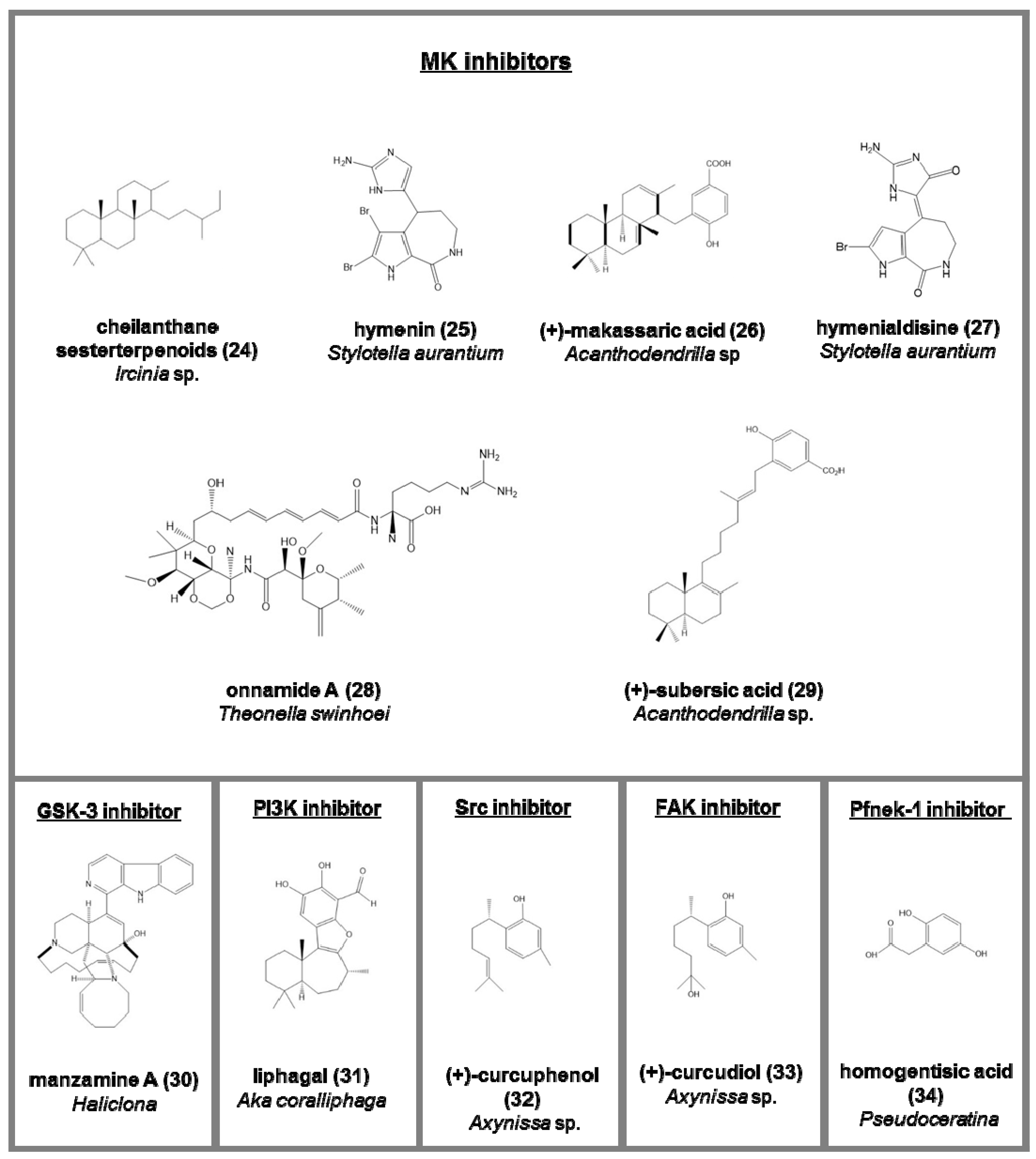 Marinedrugs 15 00173 g004