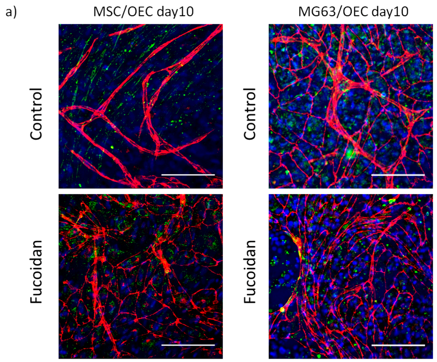 Marinedrugs 15 00186 g002a