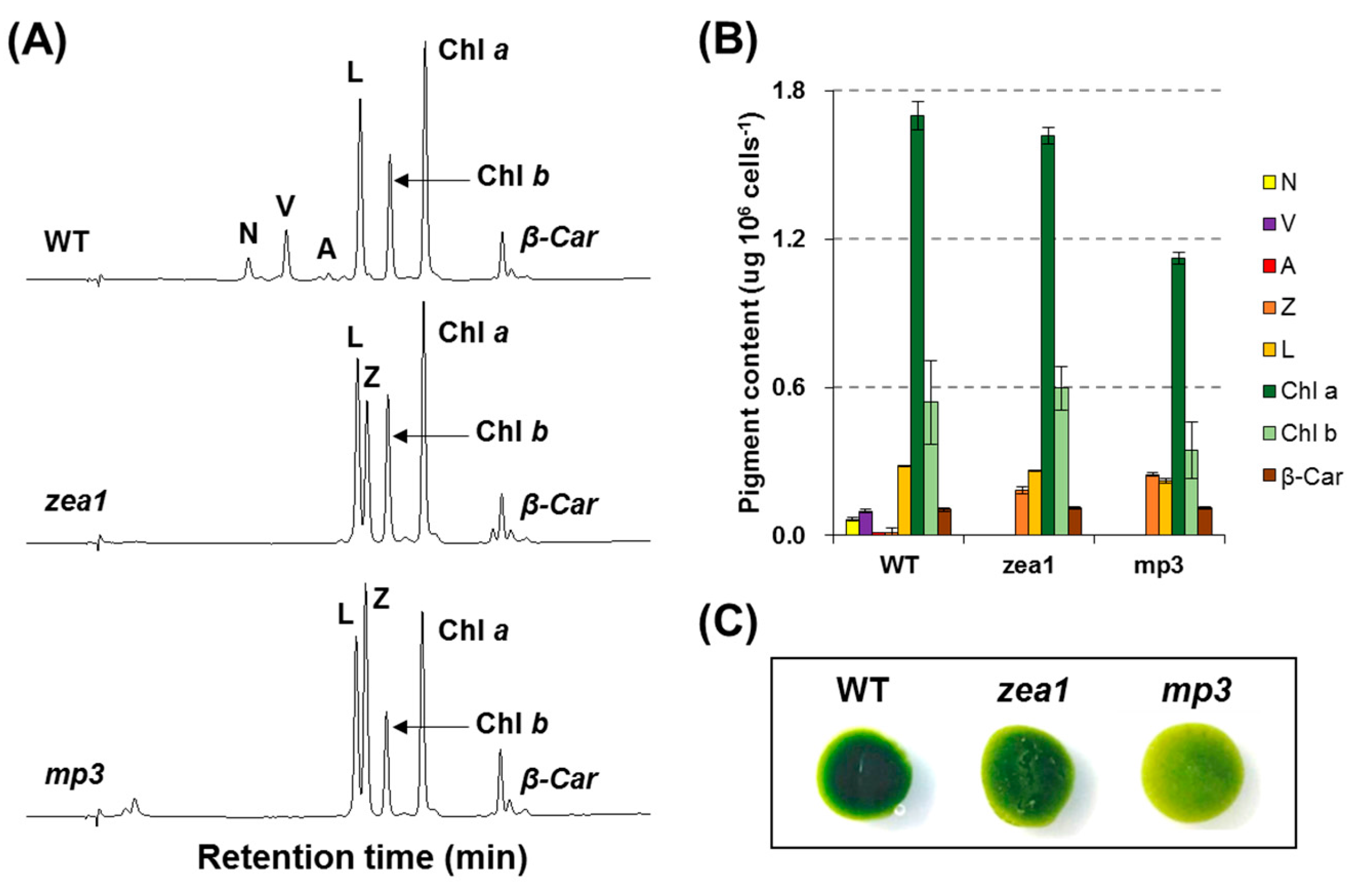 Marinedrugs 15 00189 g001