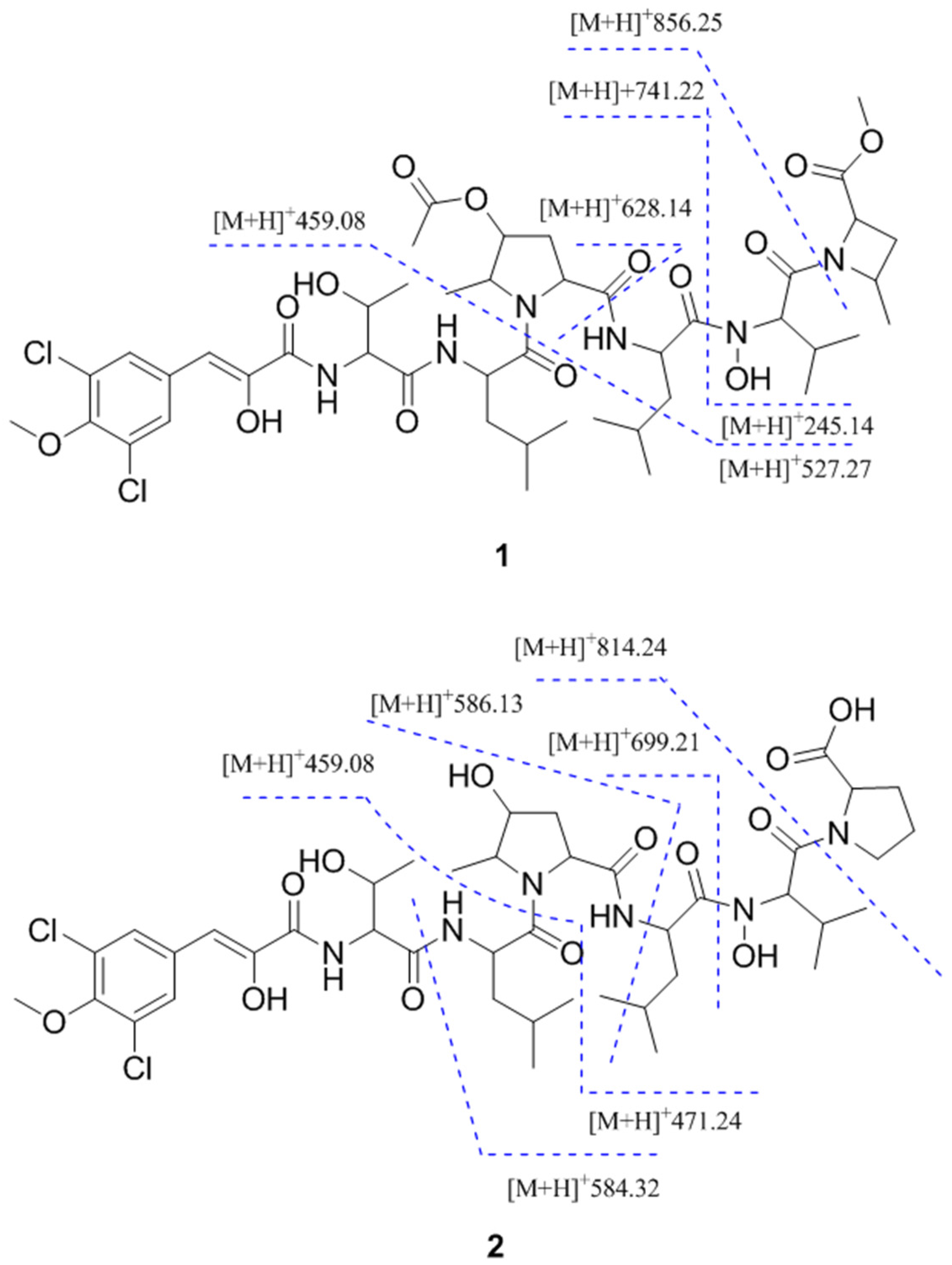 Marinedrugs 15 00195 g004