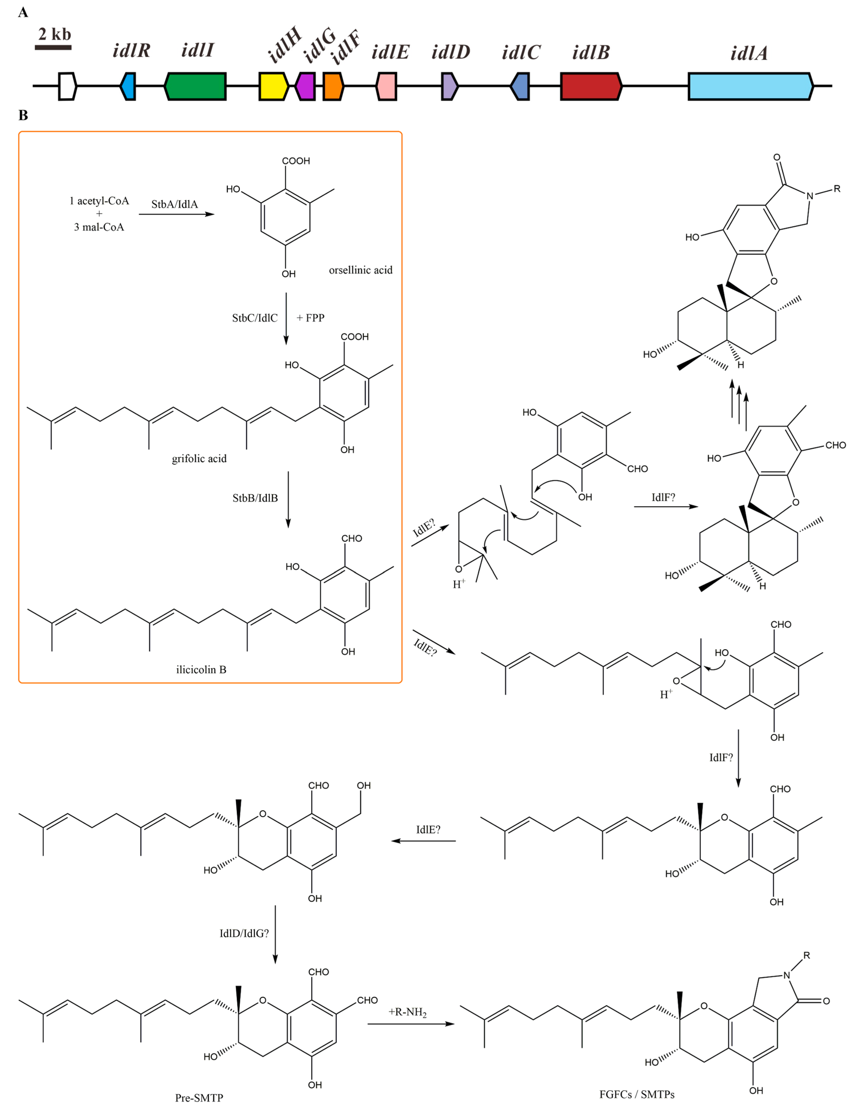 Marinedrugs 15 00214 g002