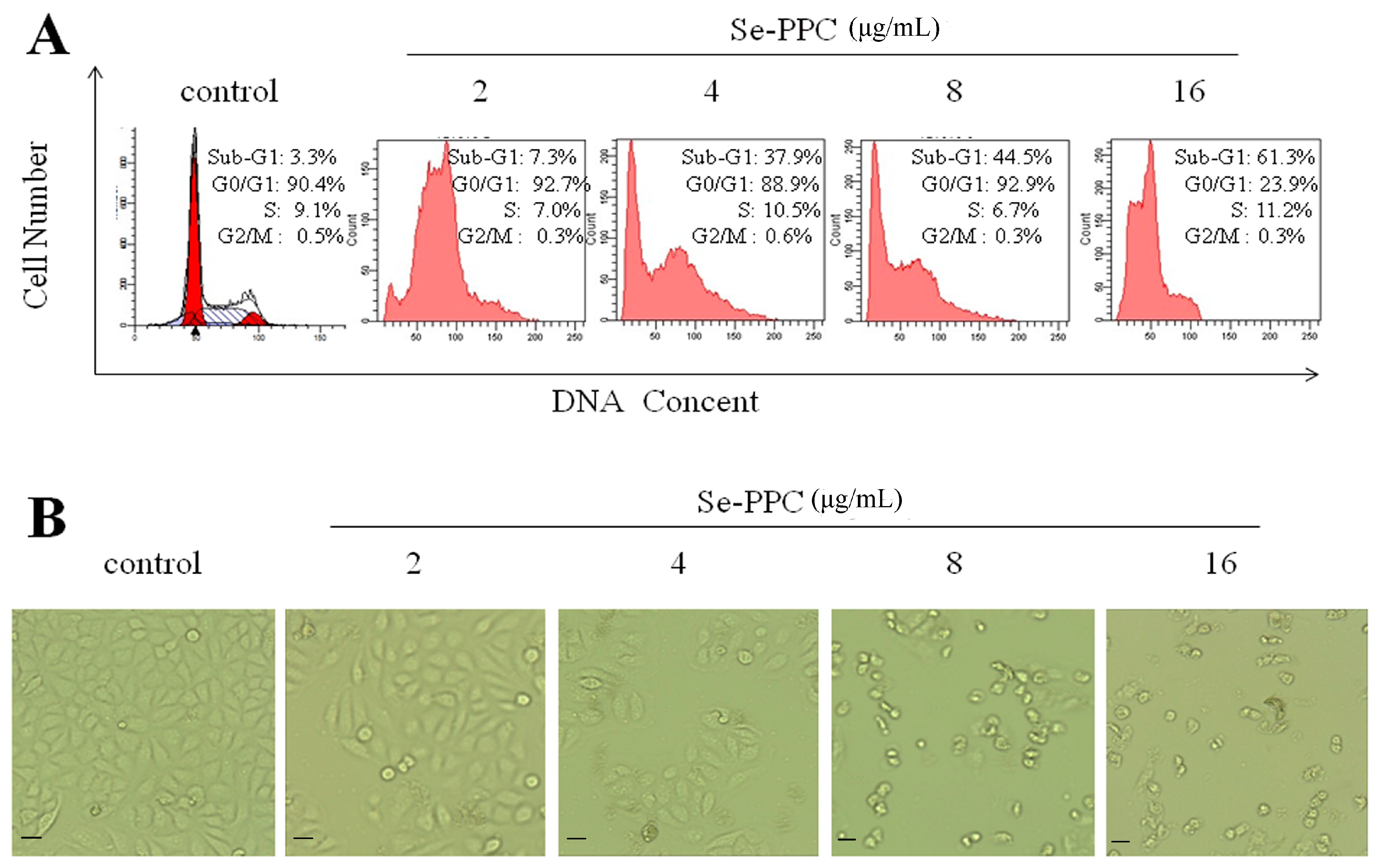 Marinedrugs 15 00215 g002