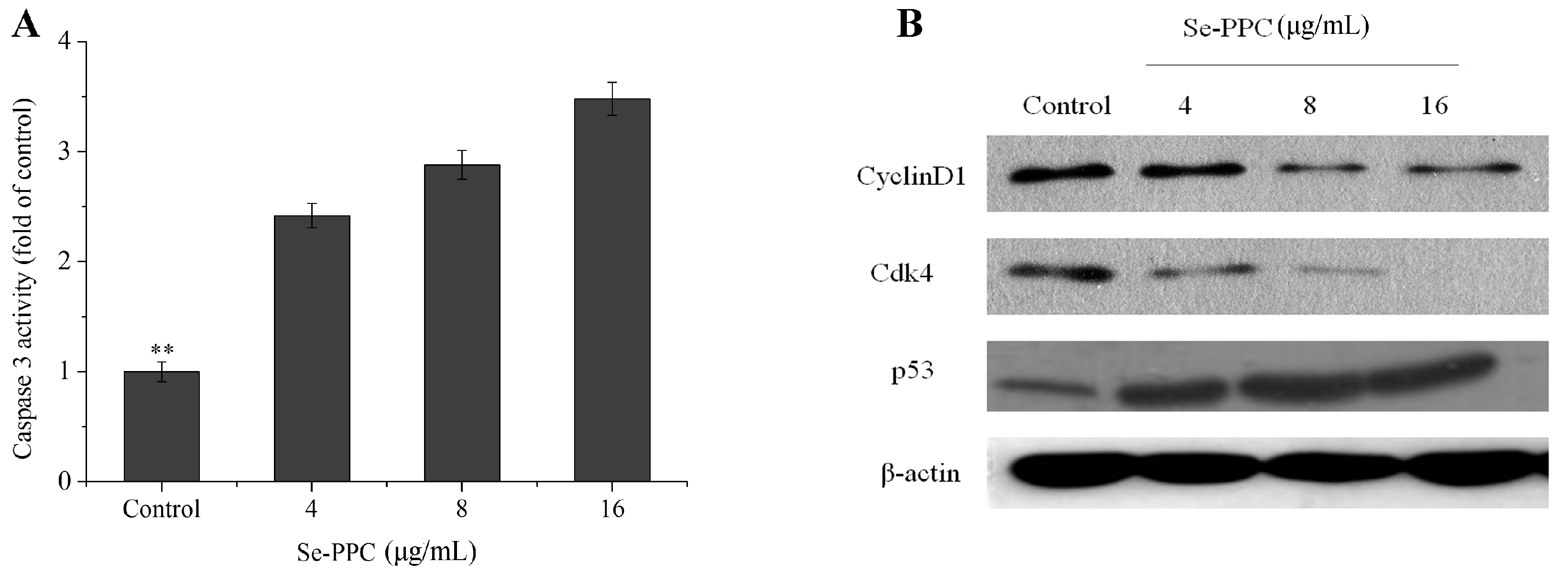 Marinedrugs 15 00215 g003