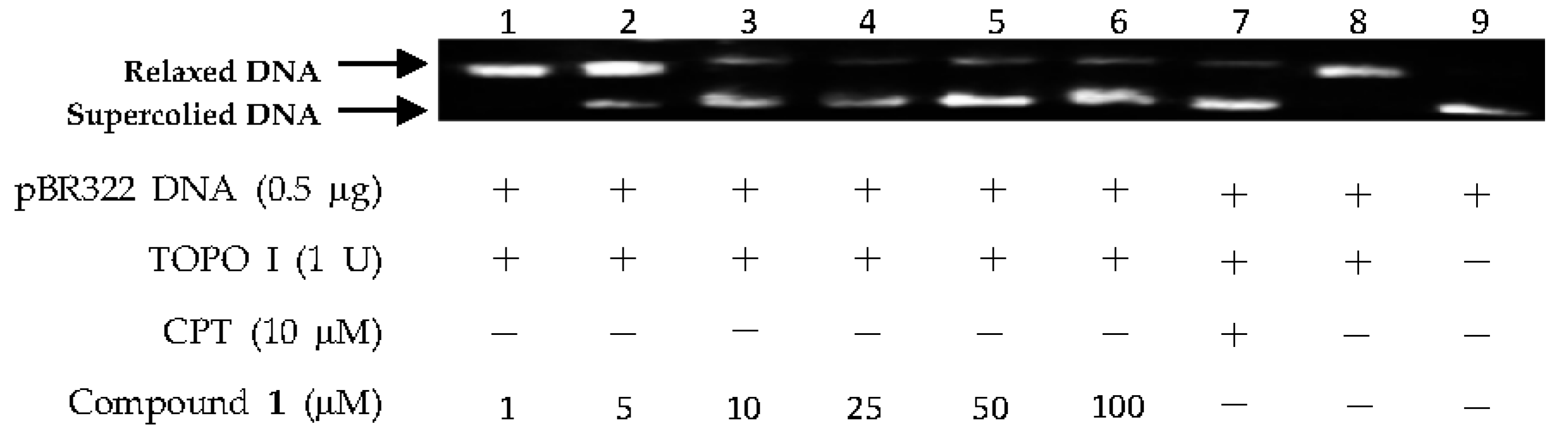 Marinedrugs 15 00217 g004