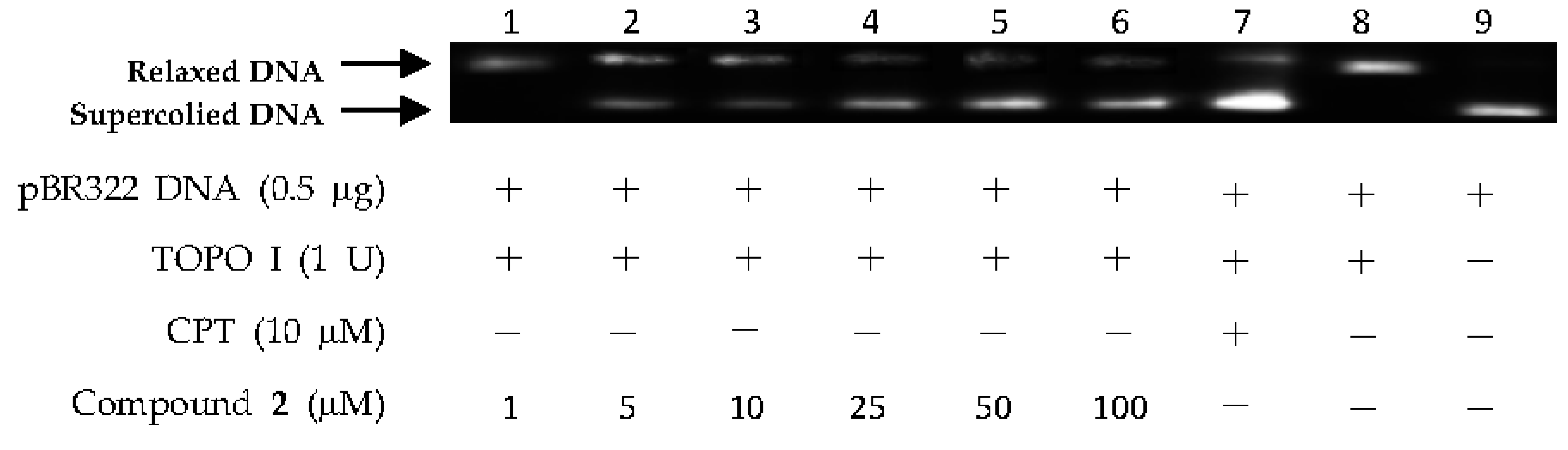Marinedrugs 15 00217 g005